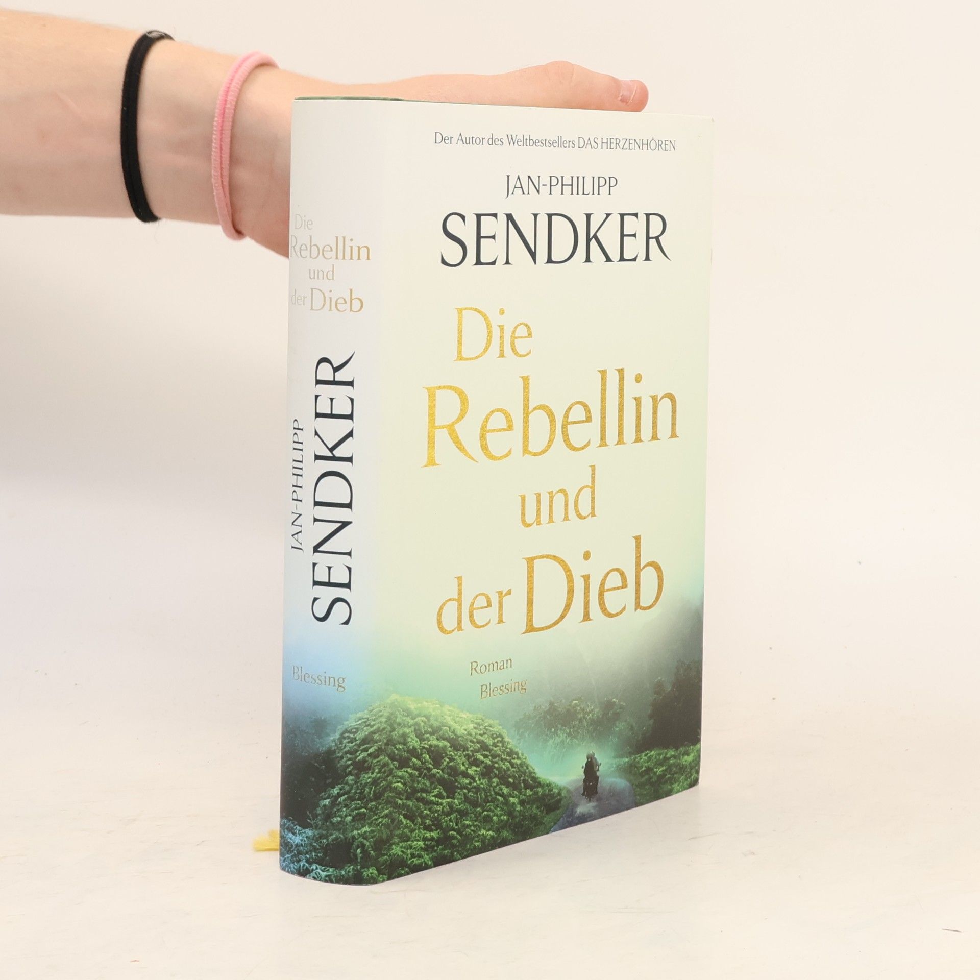 Jan-Philipp Sendker Die Rebellin und der Dieb