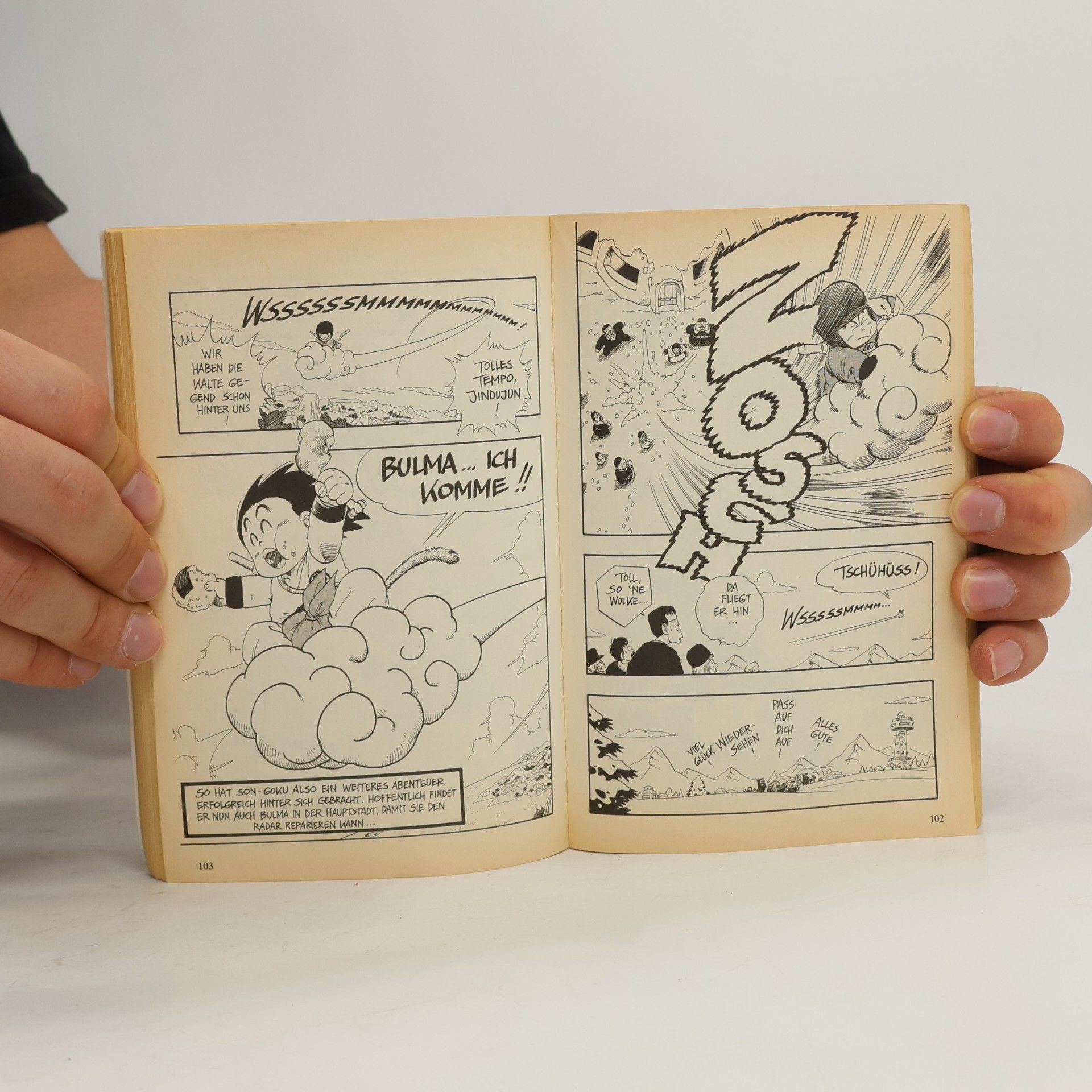 Akira Toriyama Dragon Ball 6. Das Monster Nummer 8