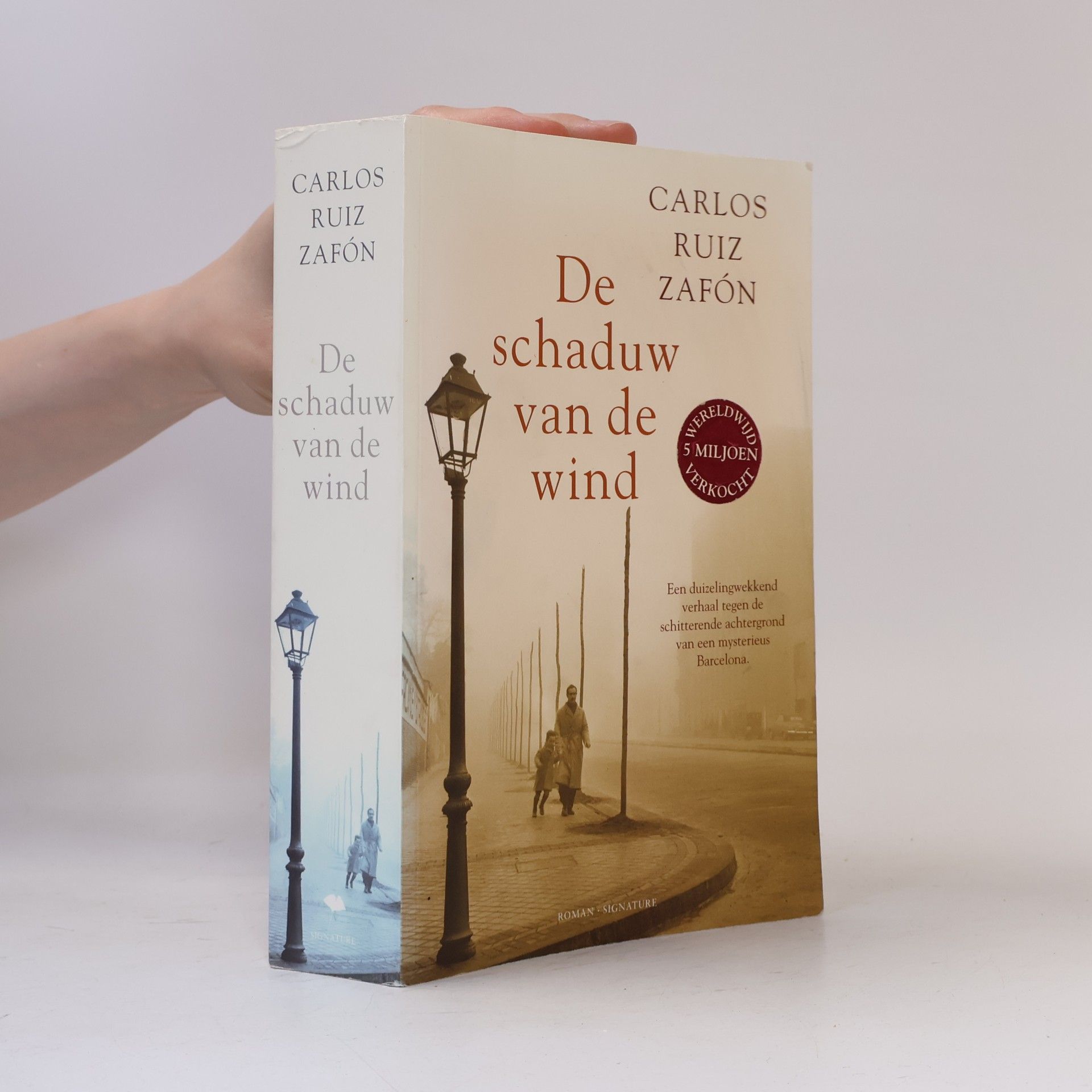 Carlos Ruiz Safon De schaduw van de wind