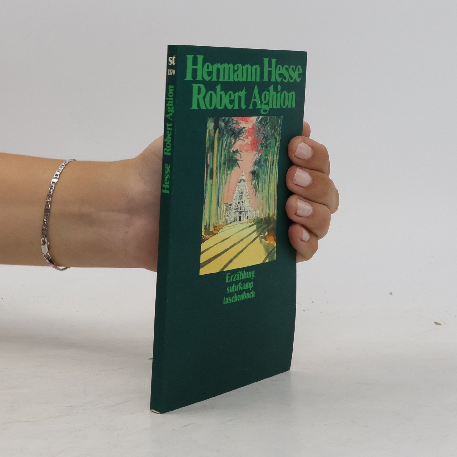 Hermann Hesse Robert Aghion. Erzählung.