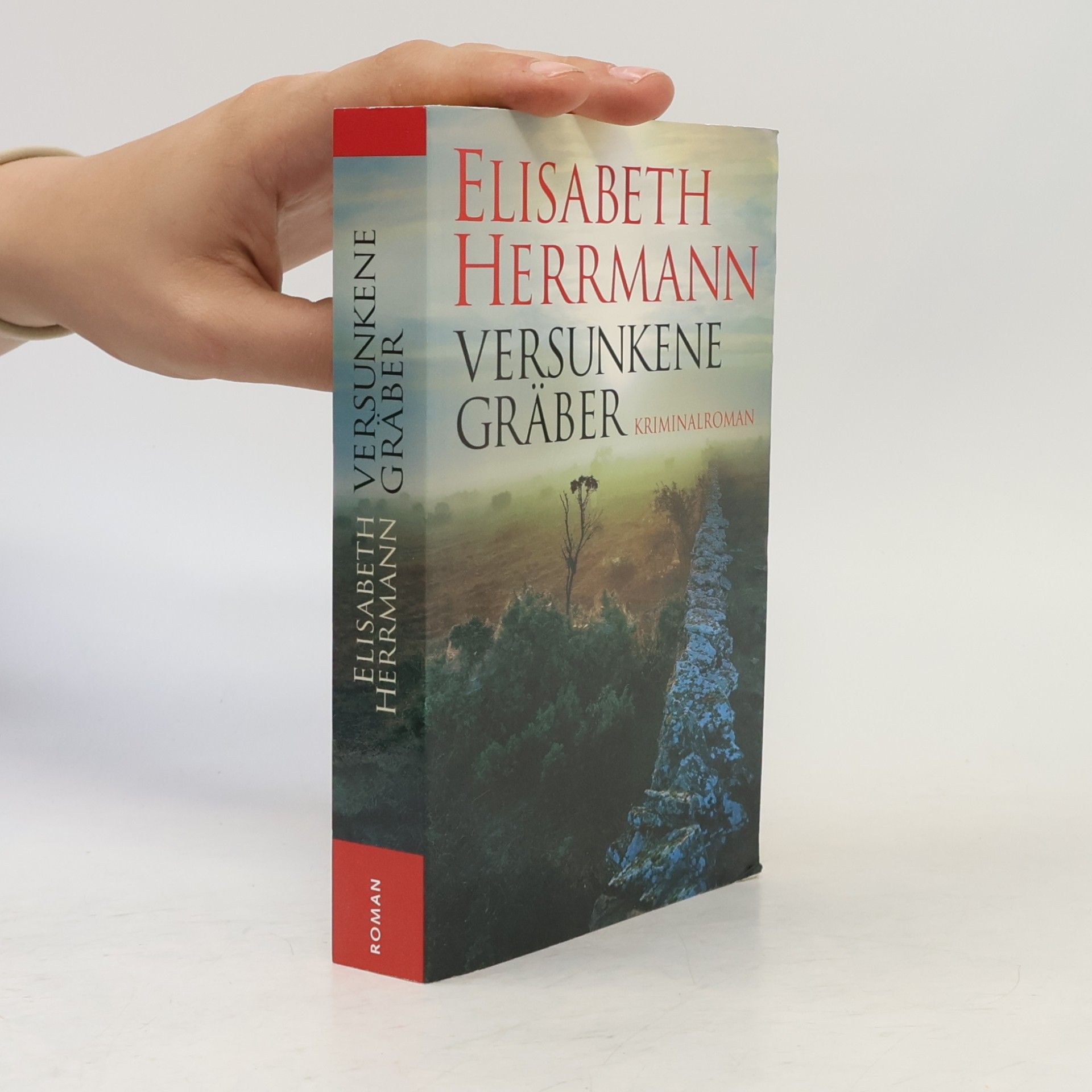 Elisabeth Hermann Versunkene Gräber