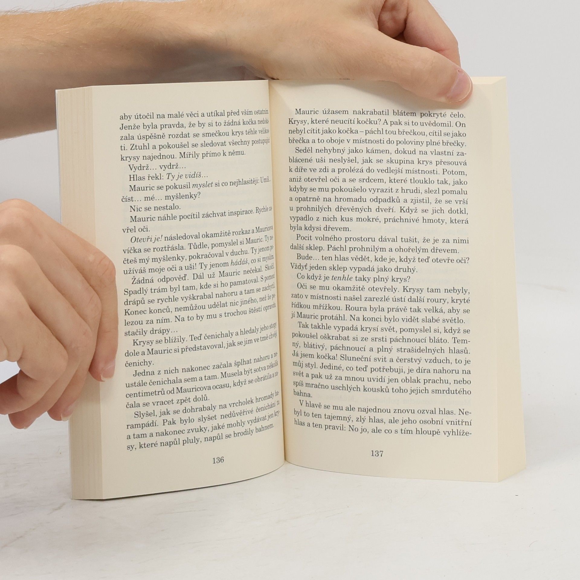 Terry Pratchett Úžasný Mauric a jeho vzdělaní hlodavci