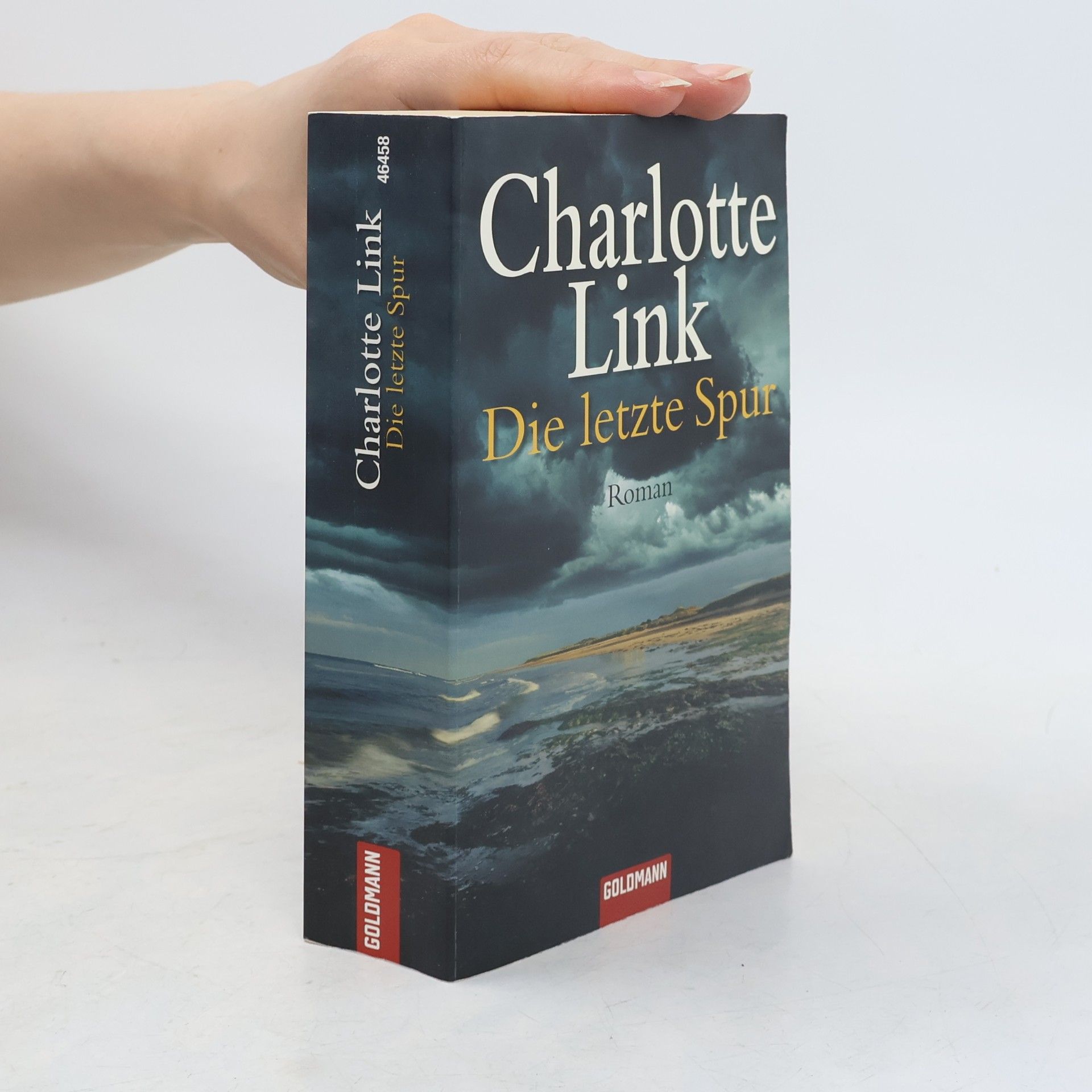 Charlotte Link Die letzte Spur