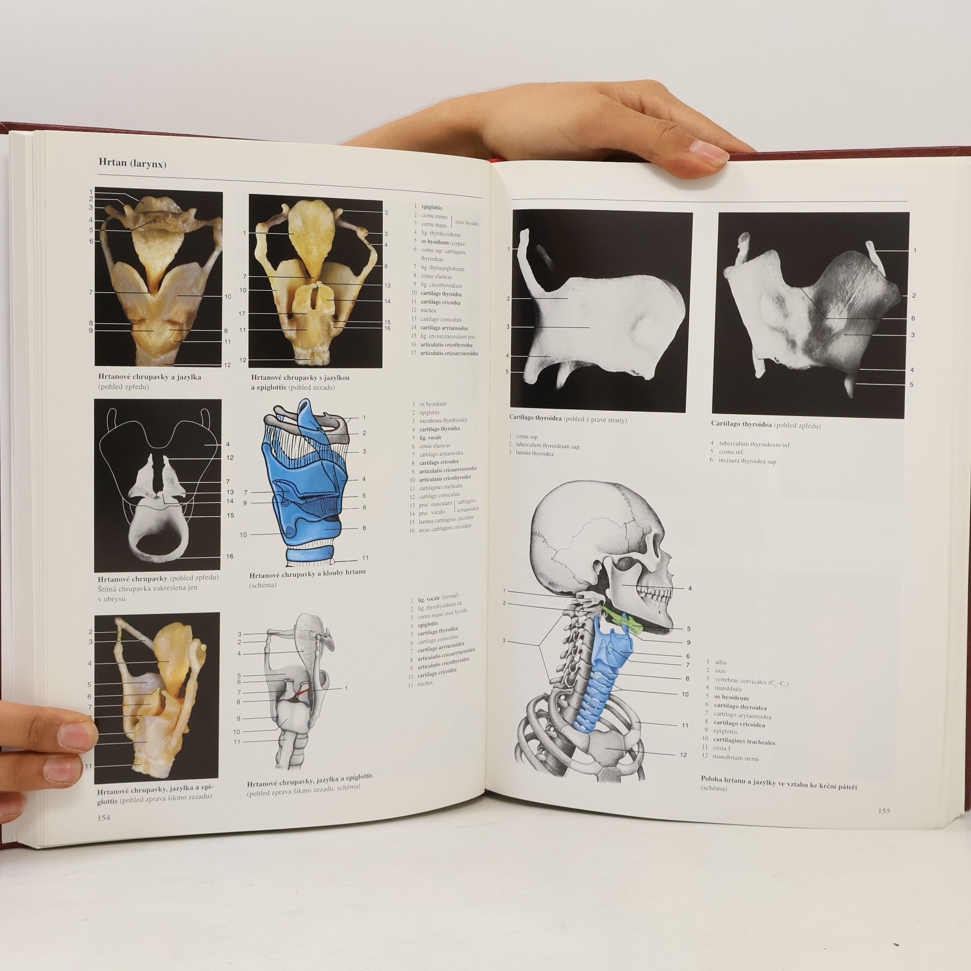 Johannes W. Rohen Anatomie člověka