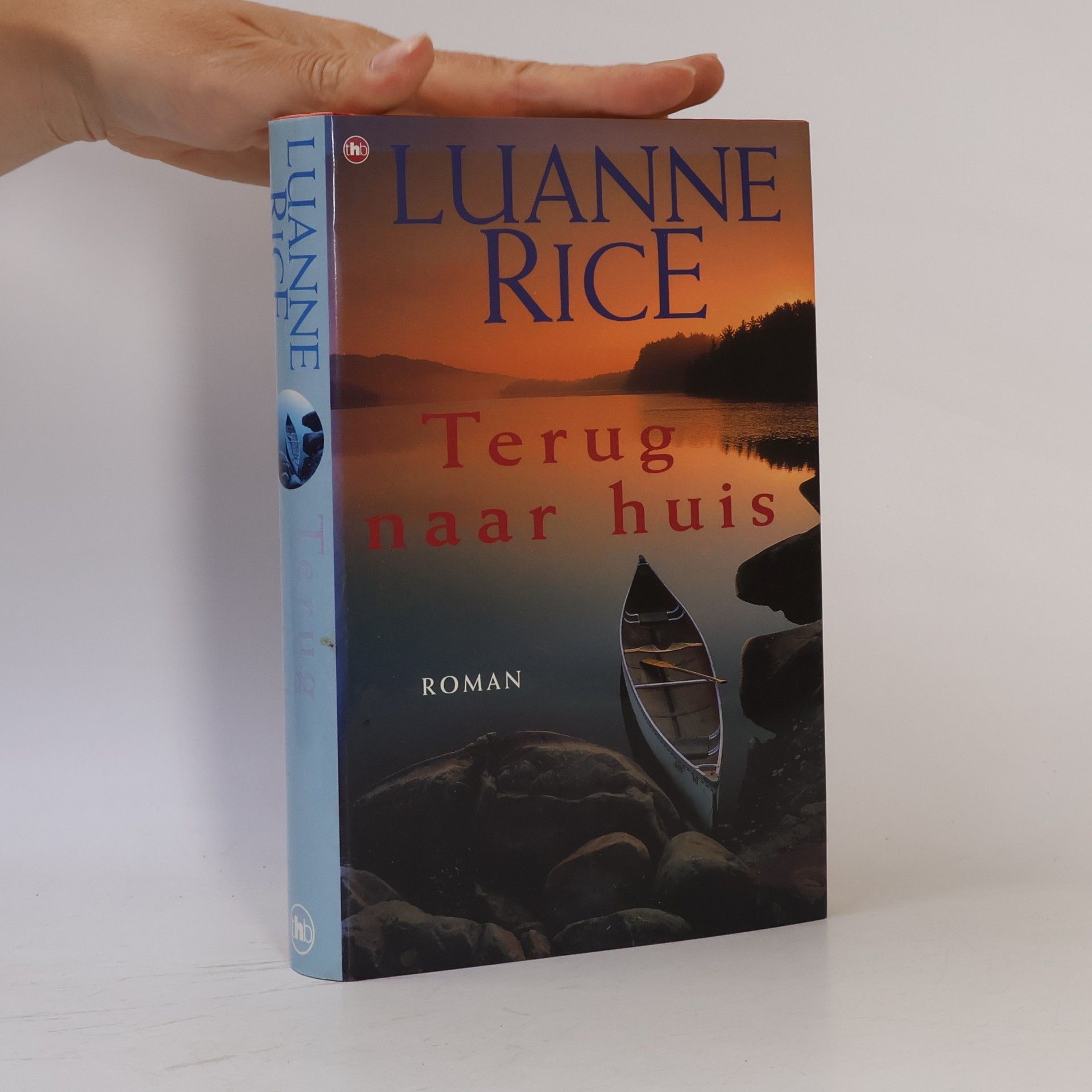 Luanne Rice Terug naar huis