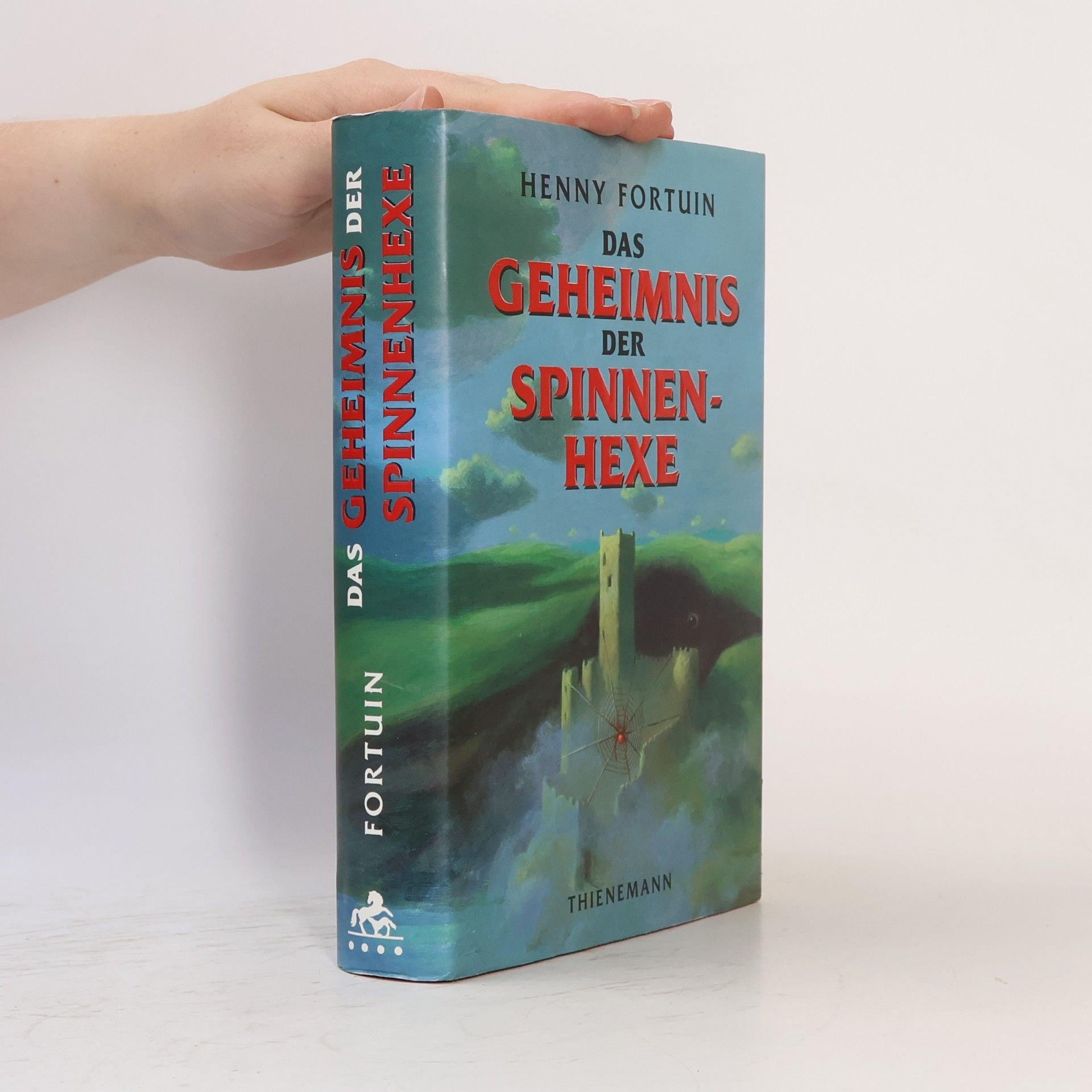 Henny Fortuin Das Geheimnis der Spinnenhexe
