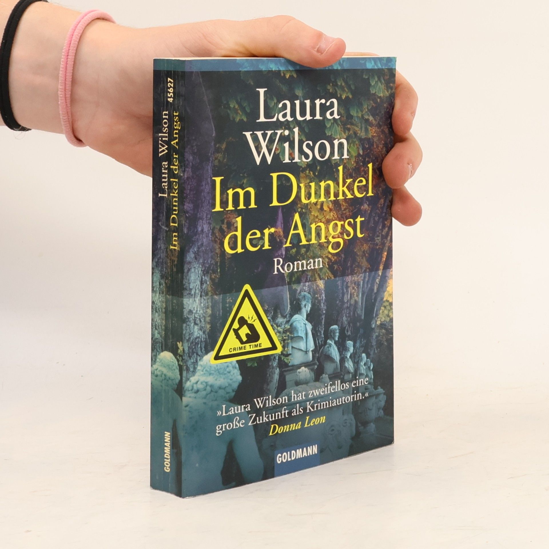 Laura Agar Wilson Im Dunkel der Angst