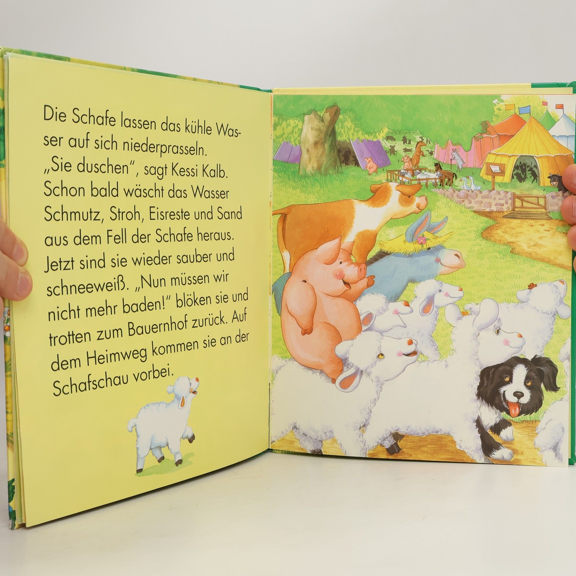 Jennifer Jordan-Kunert Benni, der Hütehund