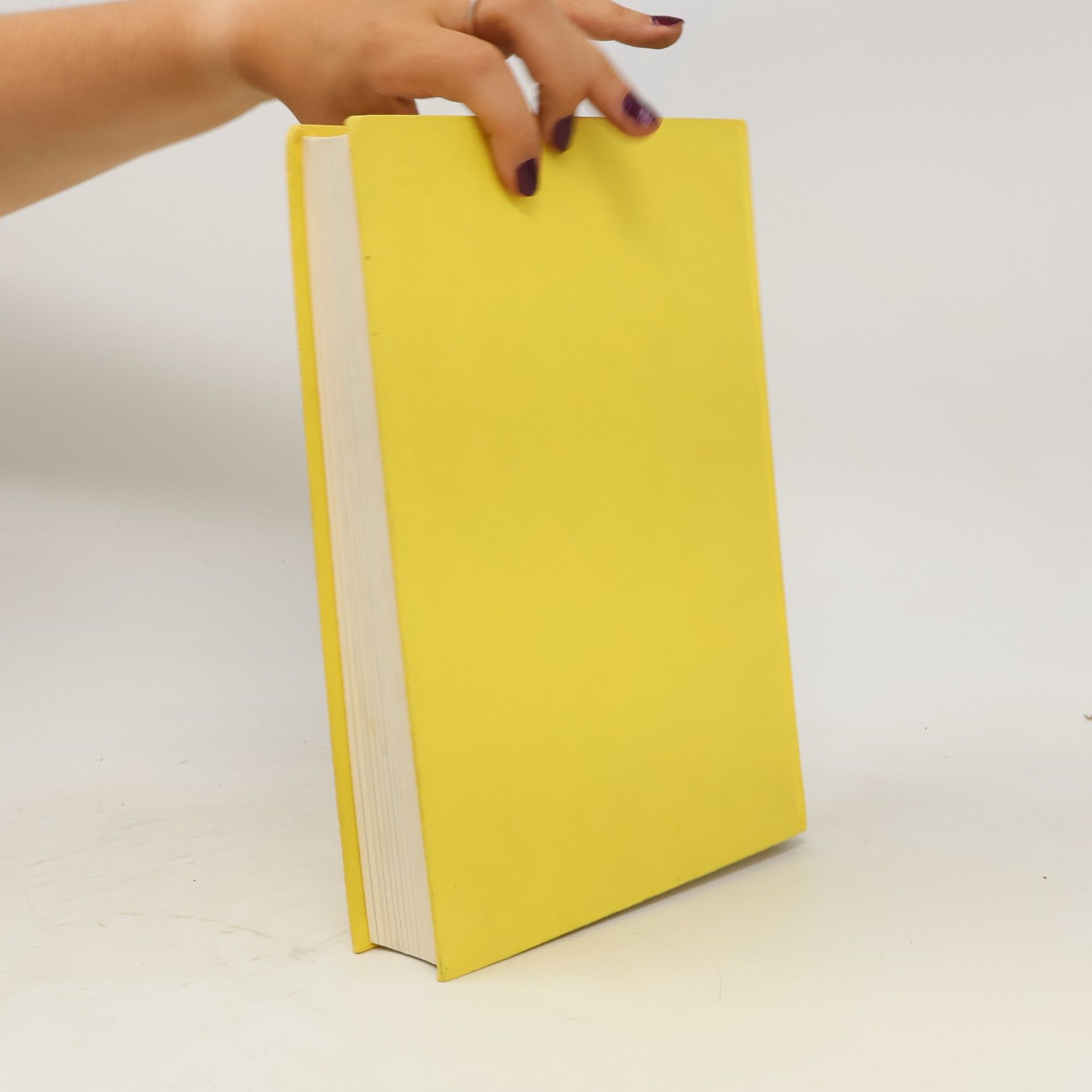 Mischa Lentz Unser Weihnachtsbuch