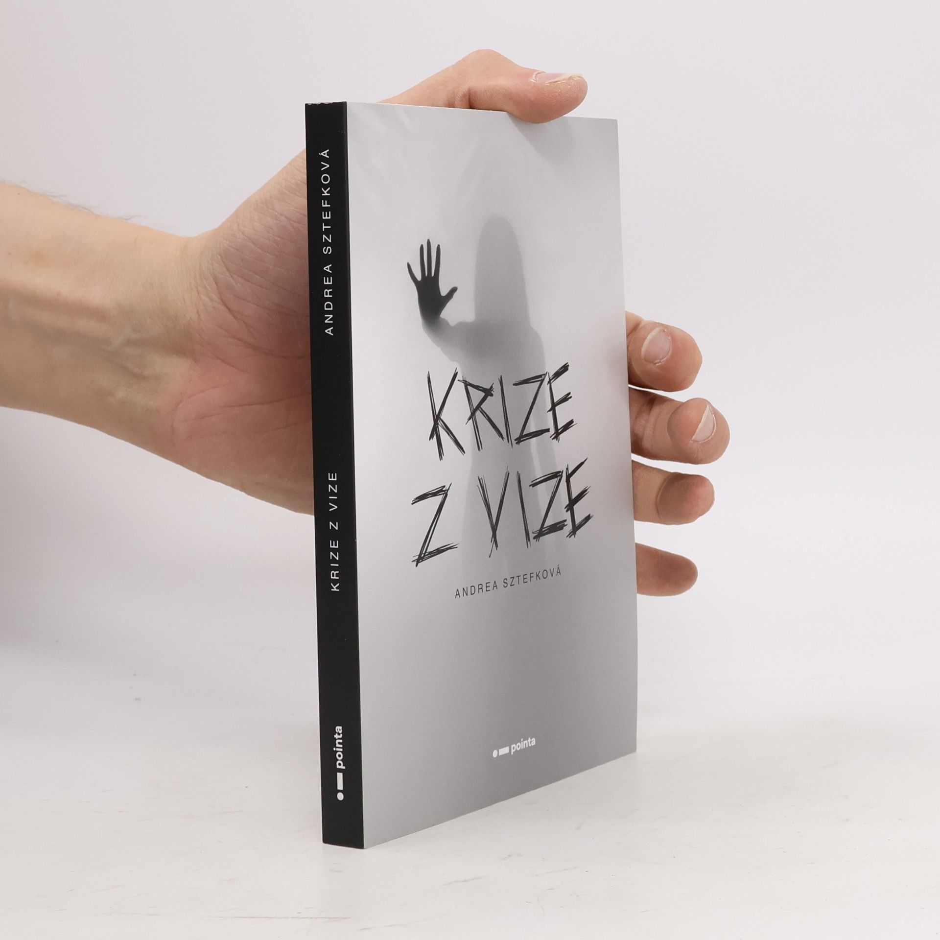 Andrea Sztefková Krize z vize