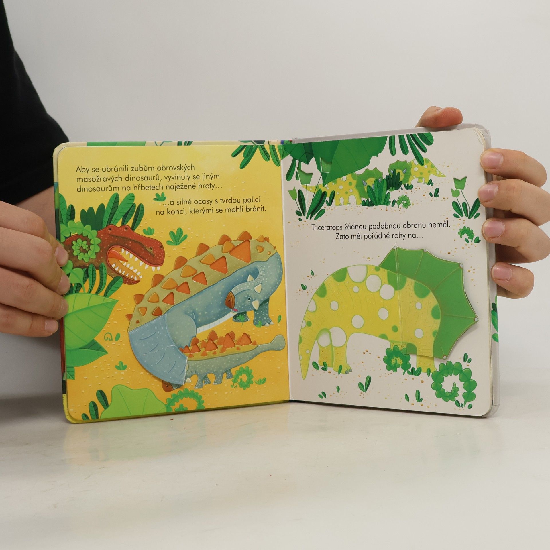 Anna Milbourne Kdepak bydlí dinosauři