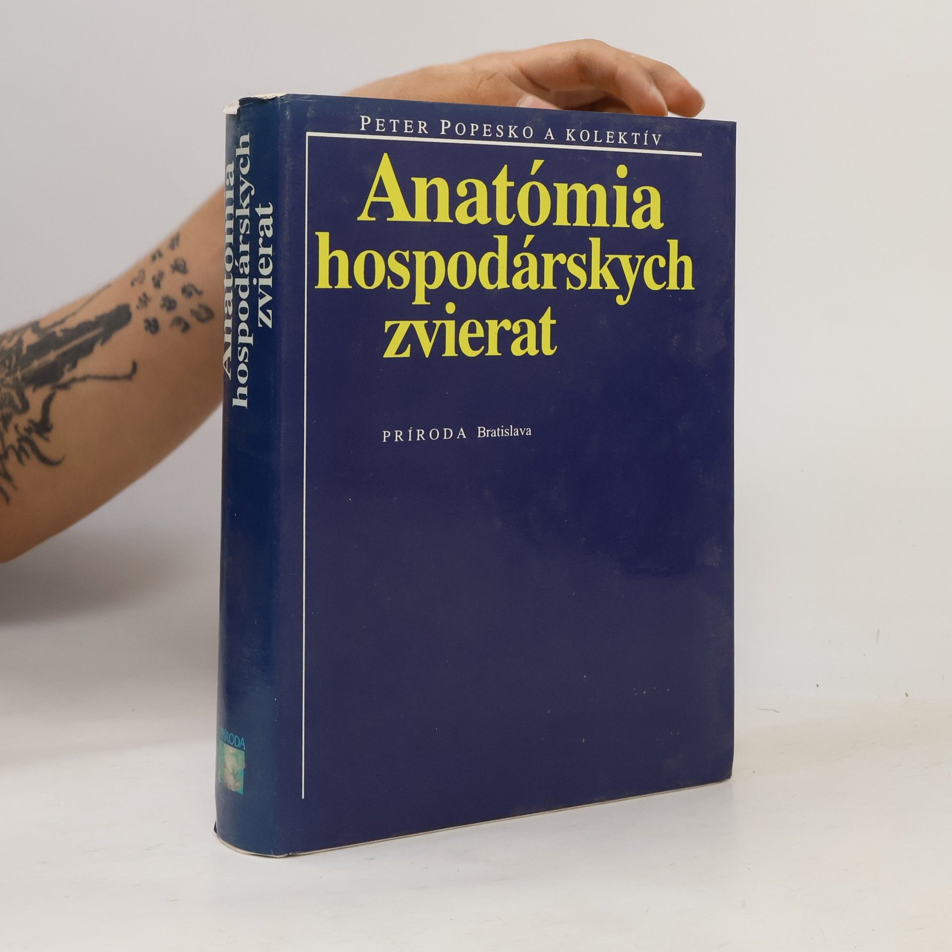Anatómia hospodárskych zvierat