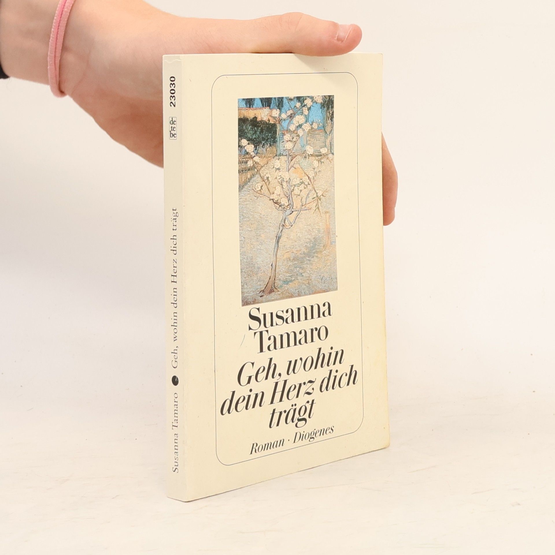 Susanna Tamaro Geh, wohin dein Herz dich trägt