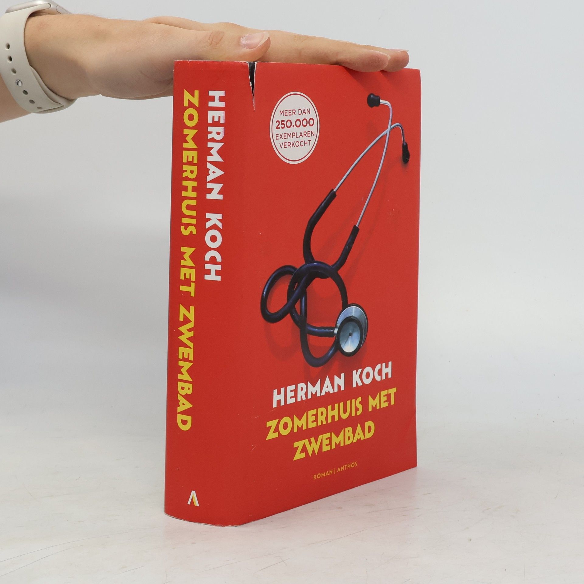 Herman Koch Zomerhuis met zwembad