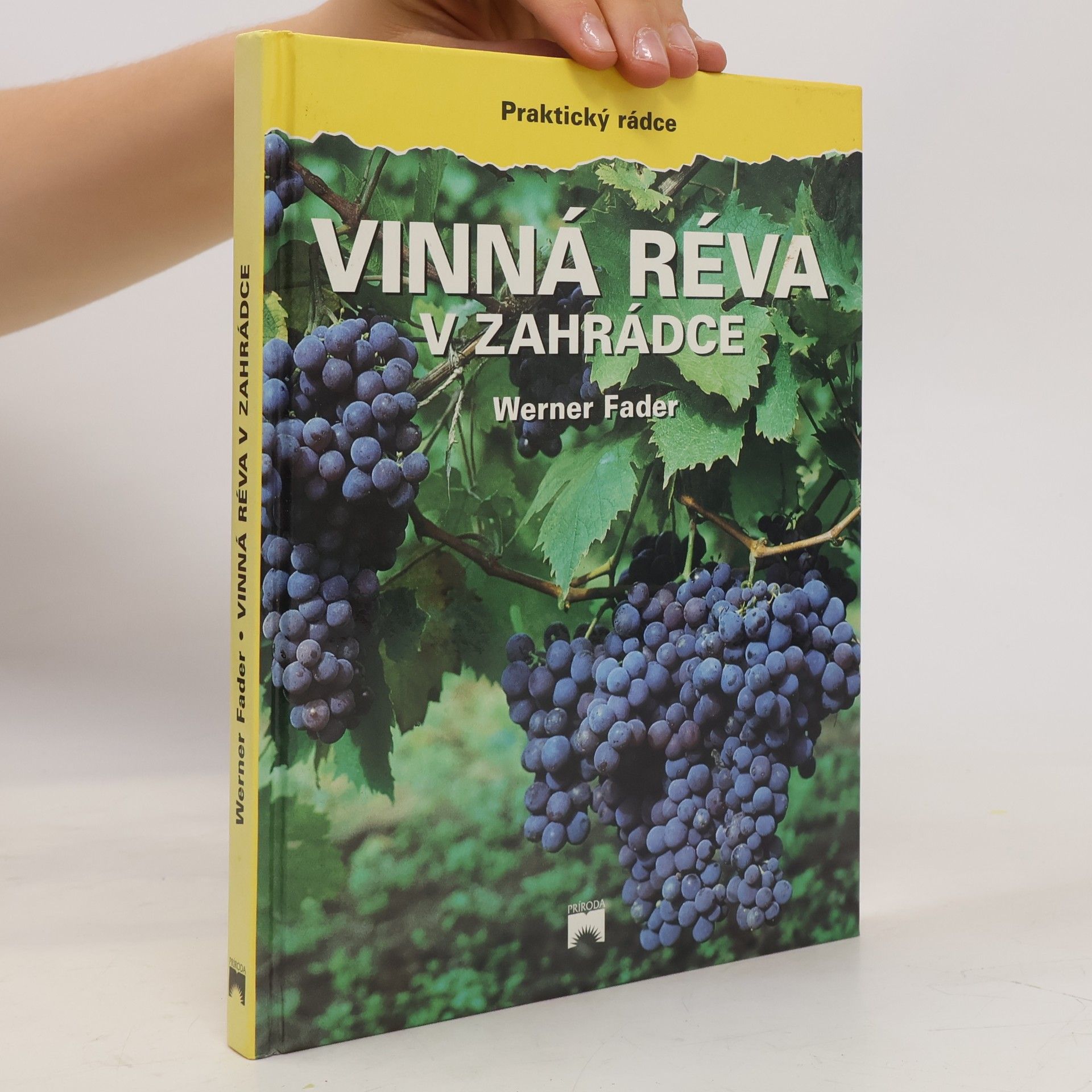 Werner Fader Vinná réva v zahrádce