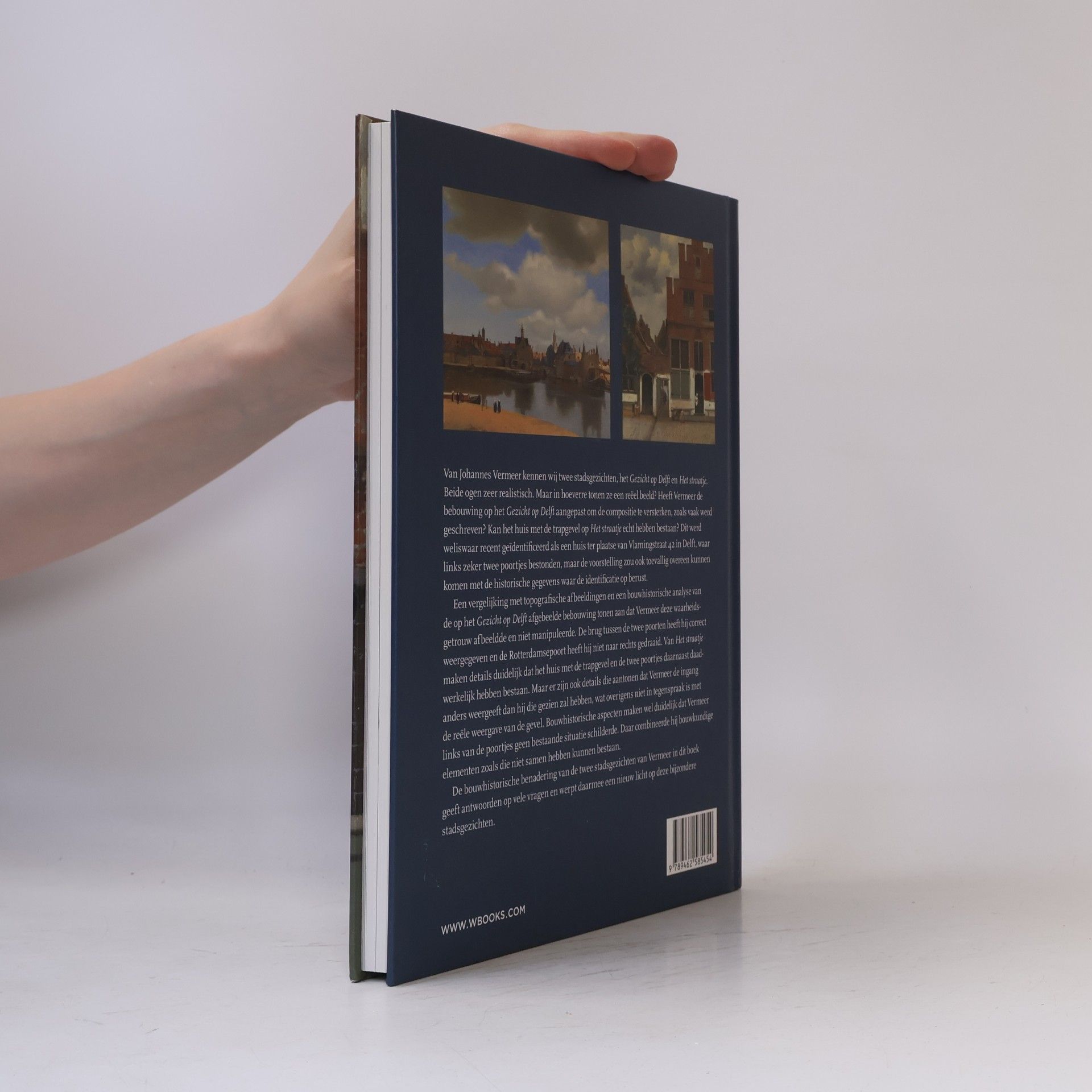 Wim Weve Vermeer en de Delftse topografie