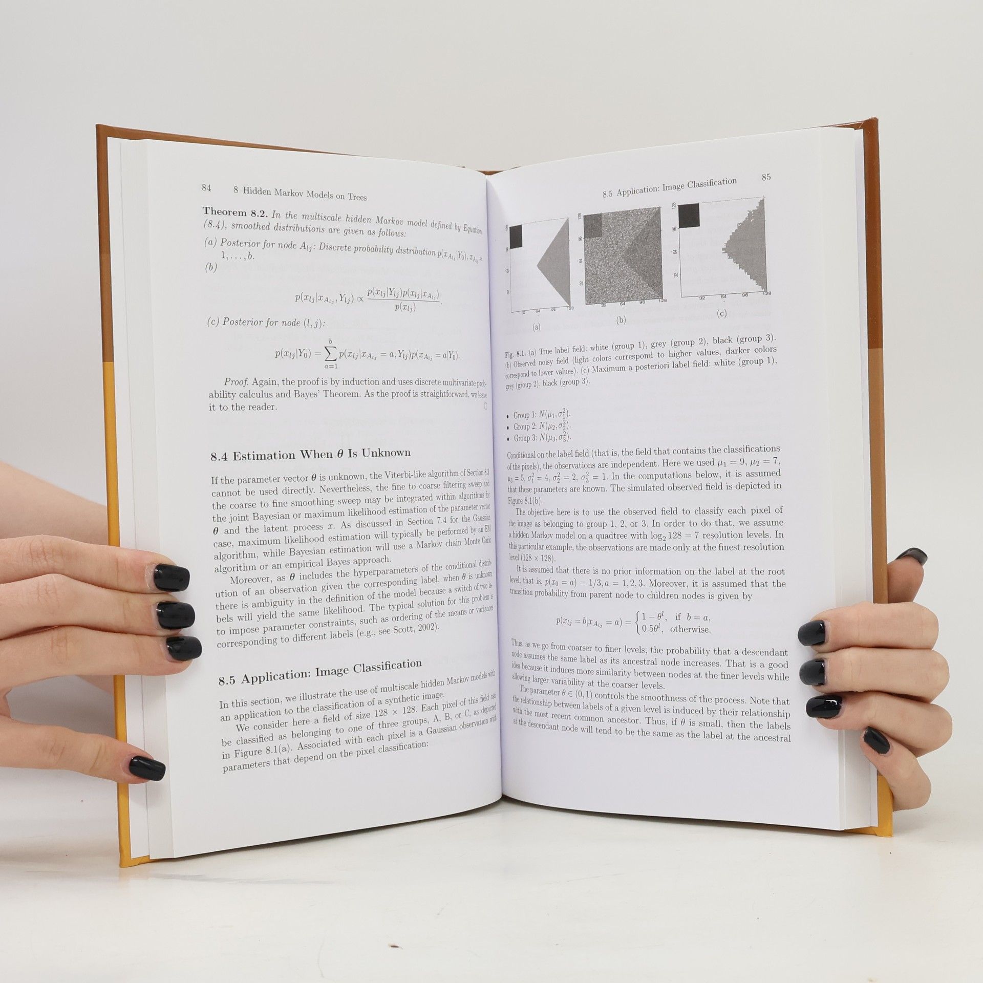 Herbert K.H. Lee Multiscale Modeling