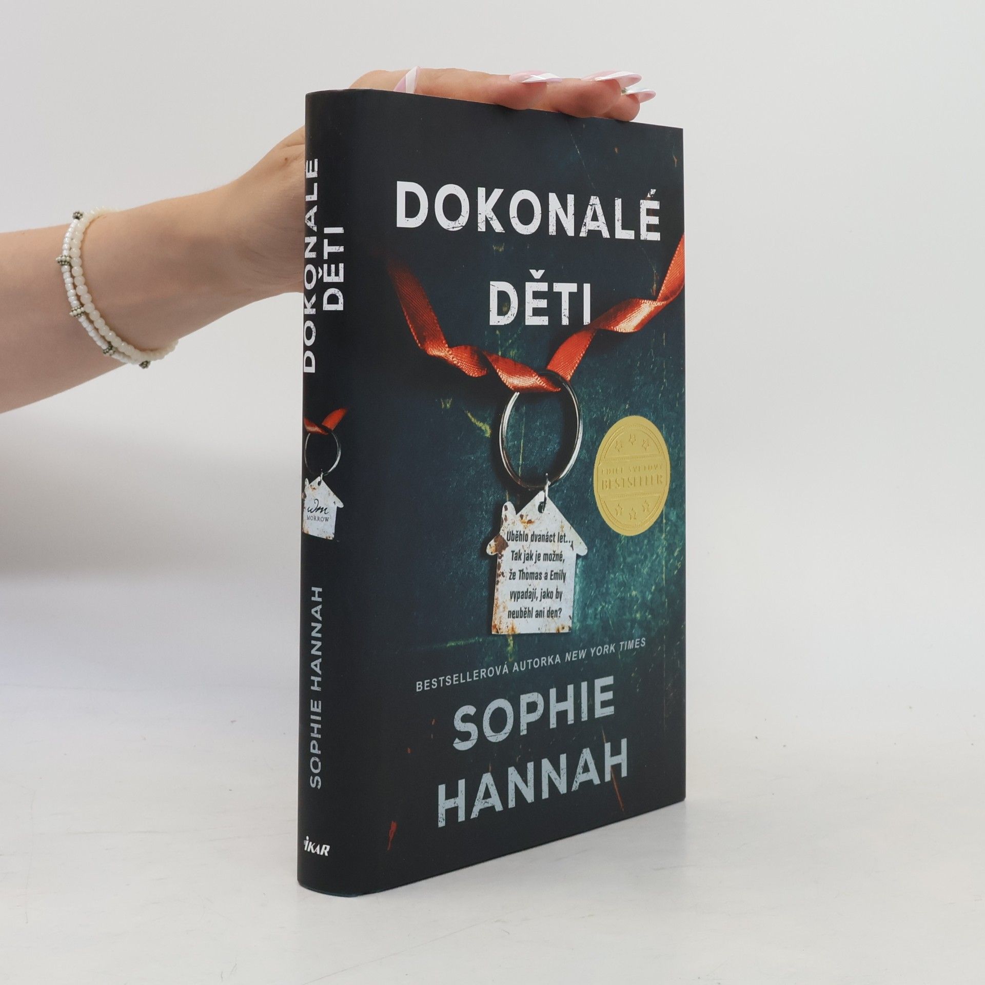 Sophie Hannah Dokonalé děti
