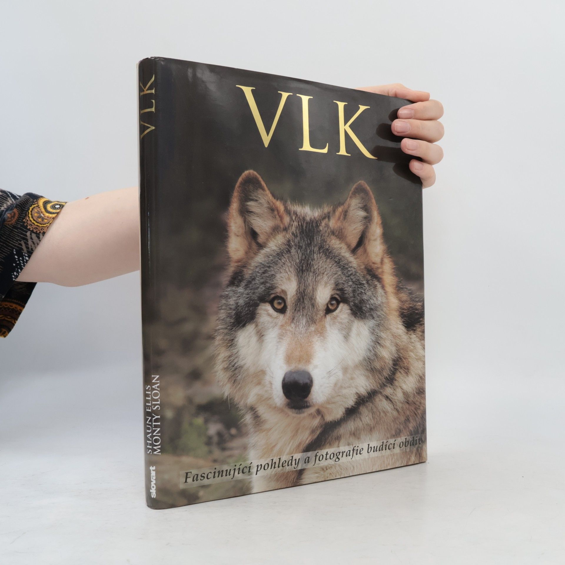 Shaun Ellis Vlk: Fascinující pohledy a fotografie budící obdiv