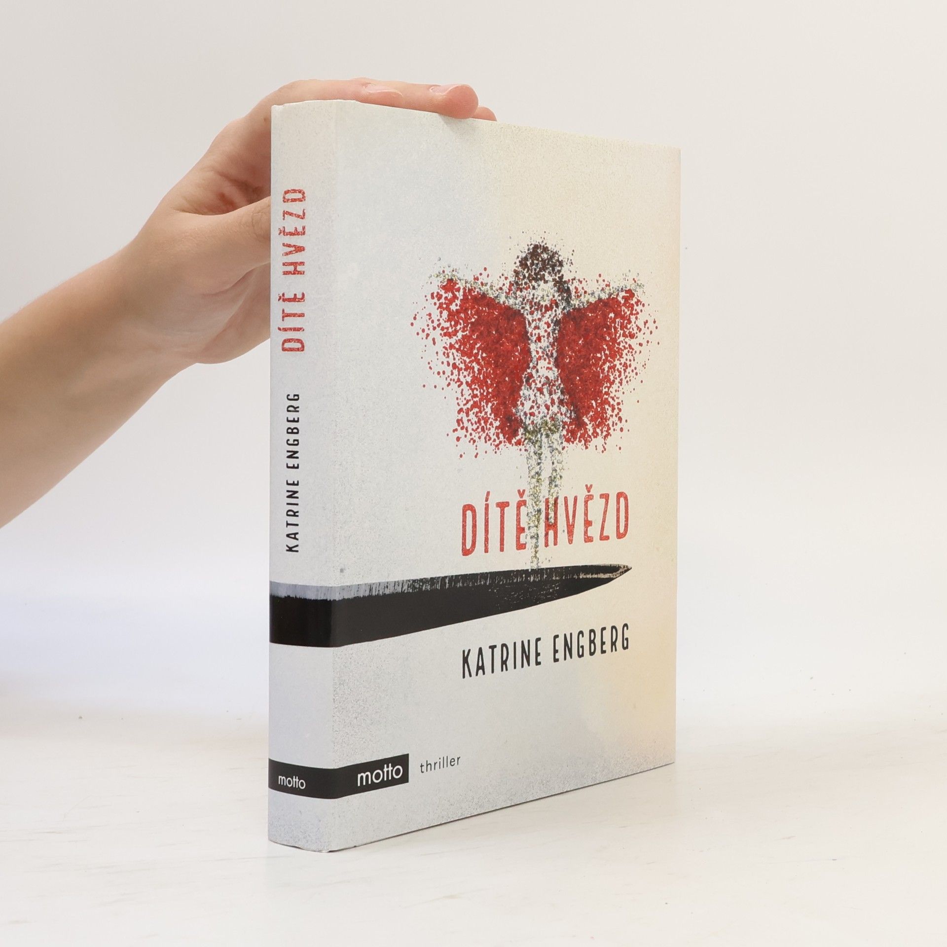 Katrine Engberg Dítě hvězd