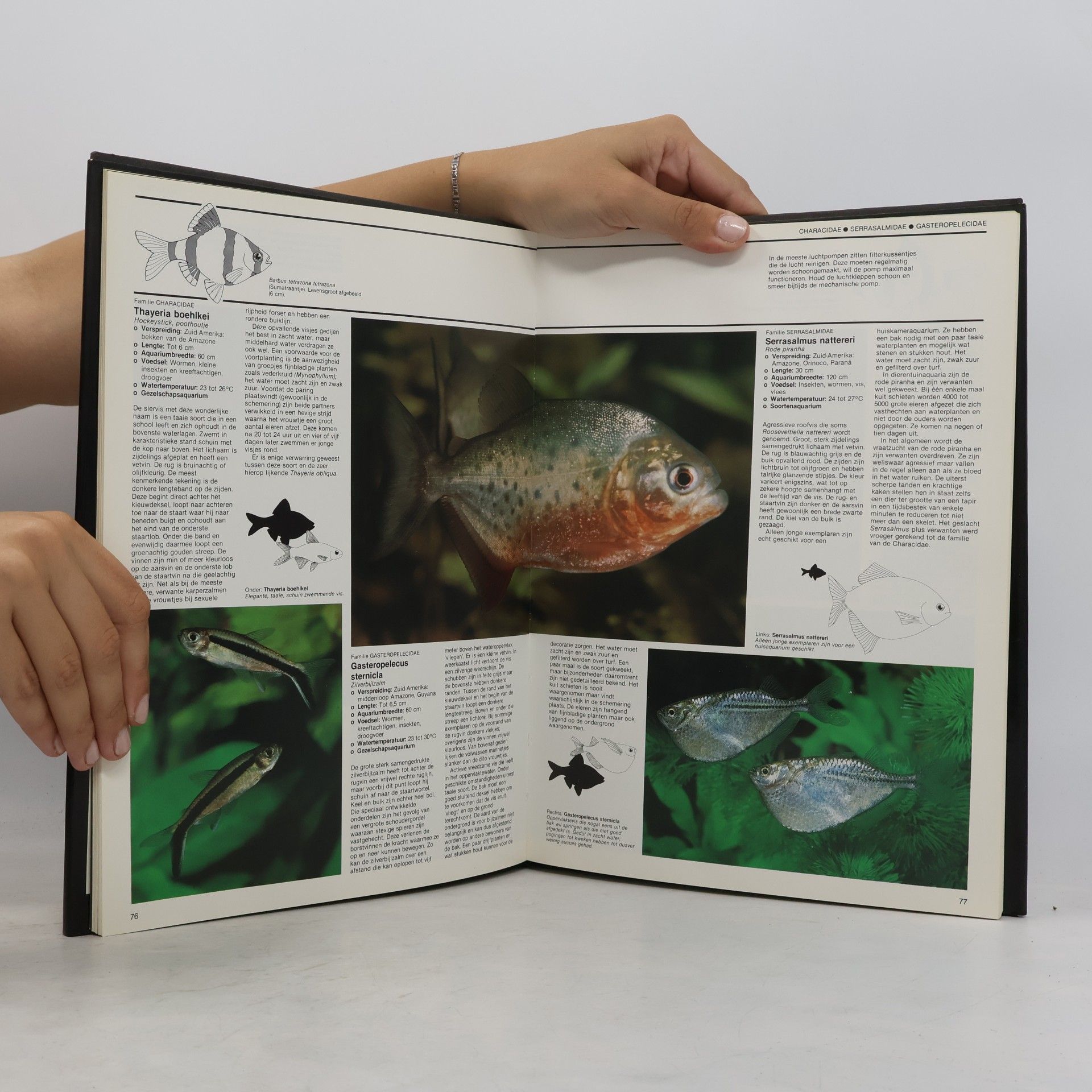 Dick Mills Het tropisch aquarium boek