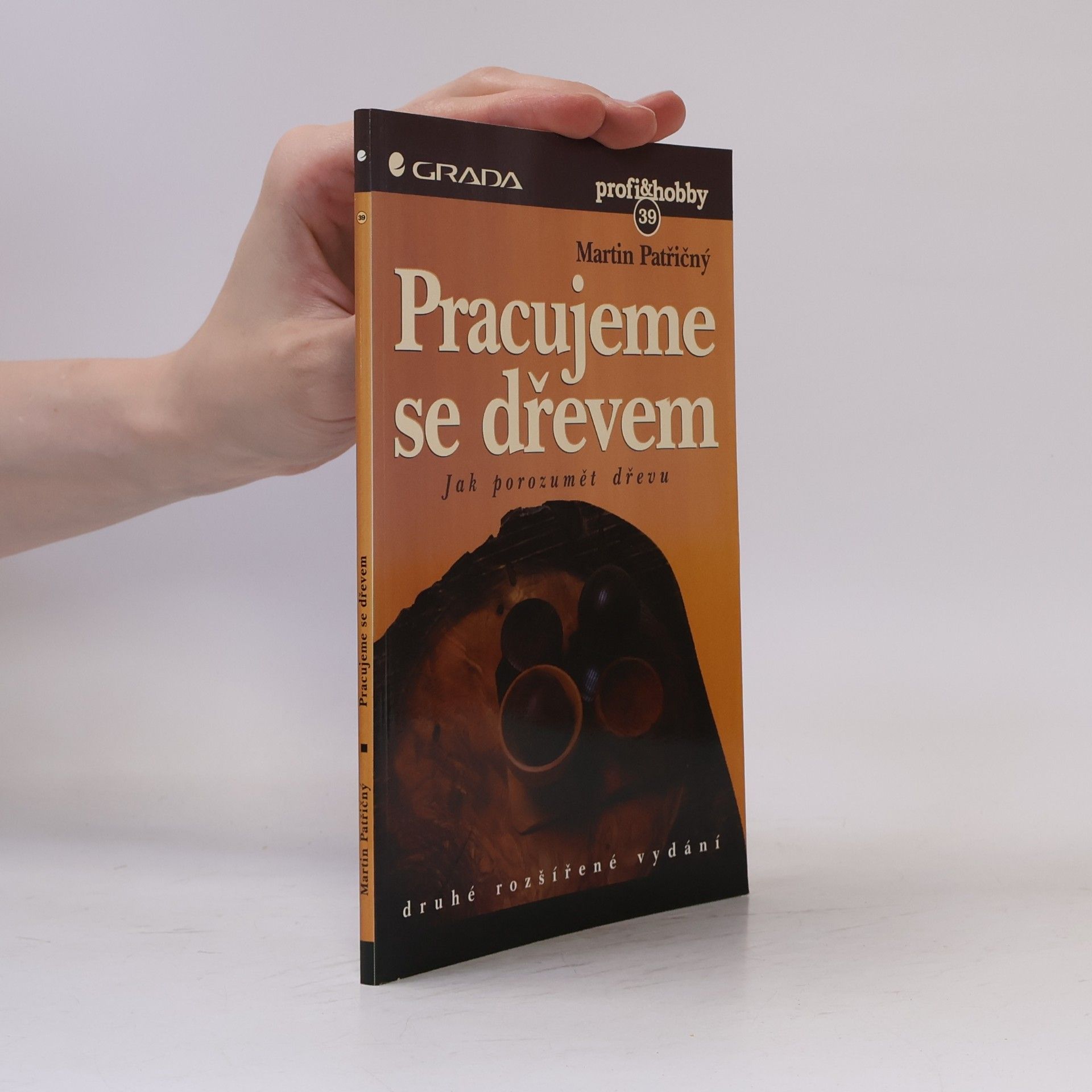 Martin Patřičný Pracujeme se dřevem – jak porozumět dřevu