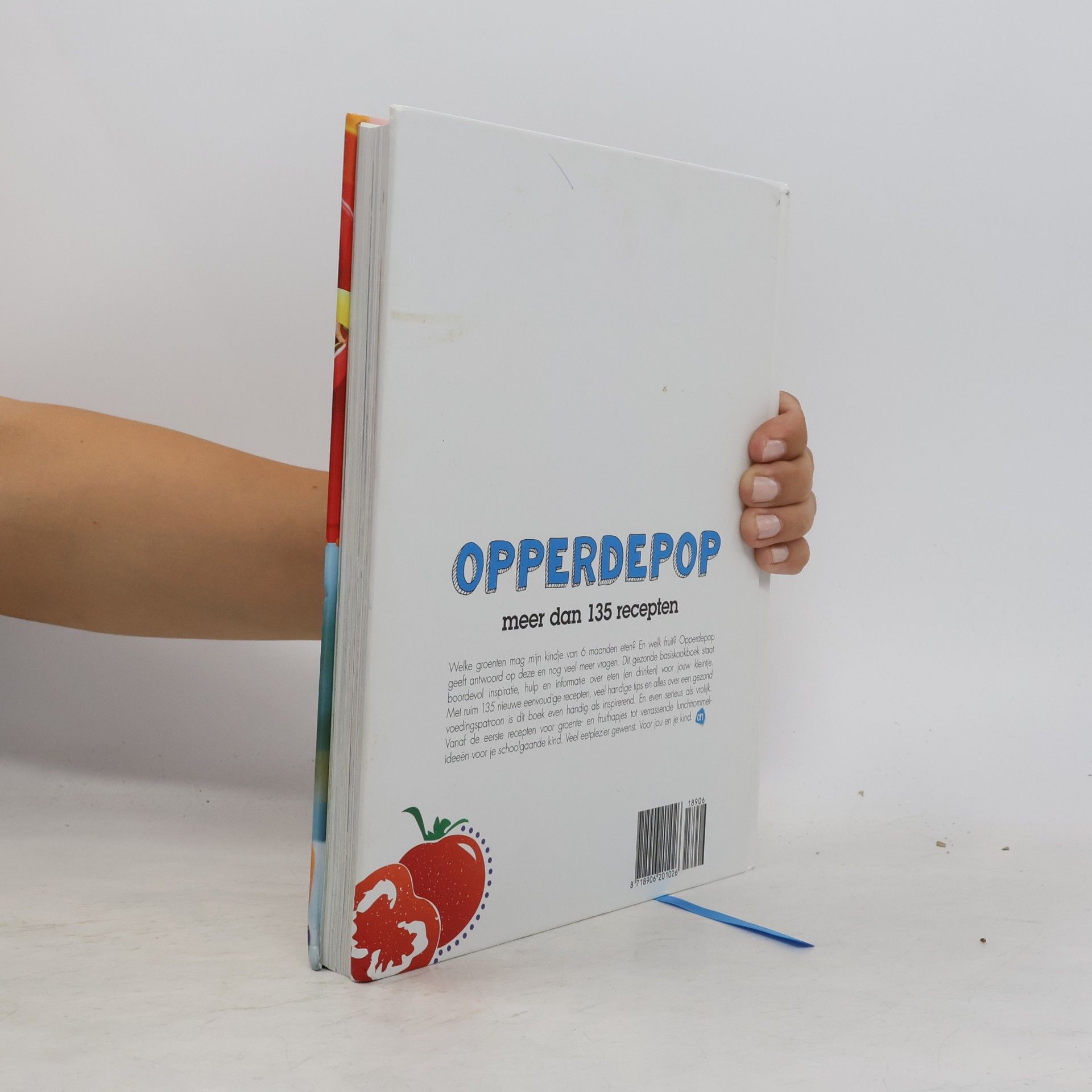 Autorenkollektiv Basiskookboek opperdepop