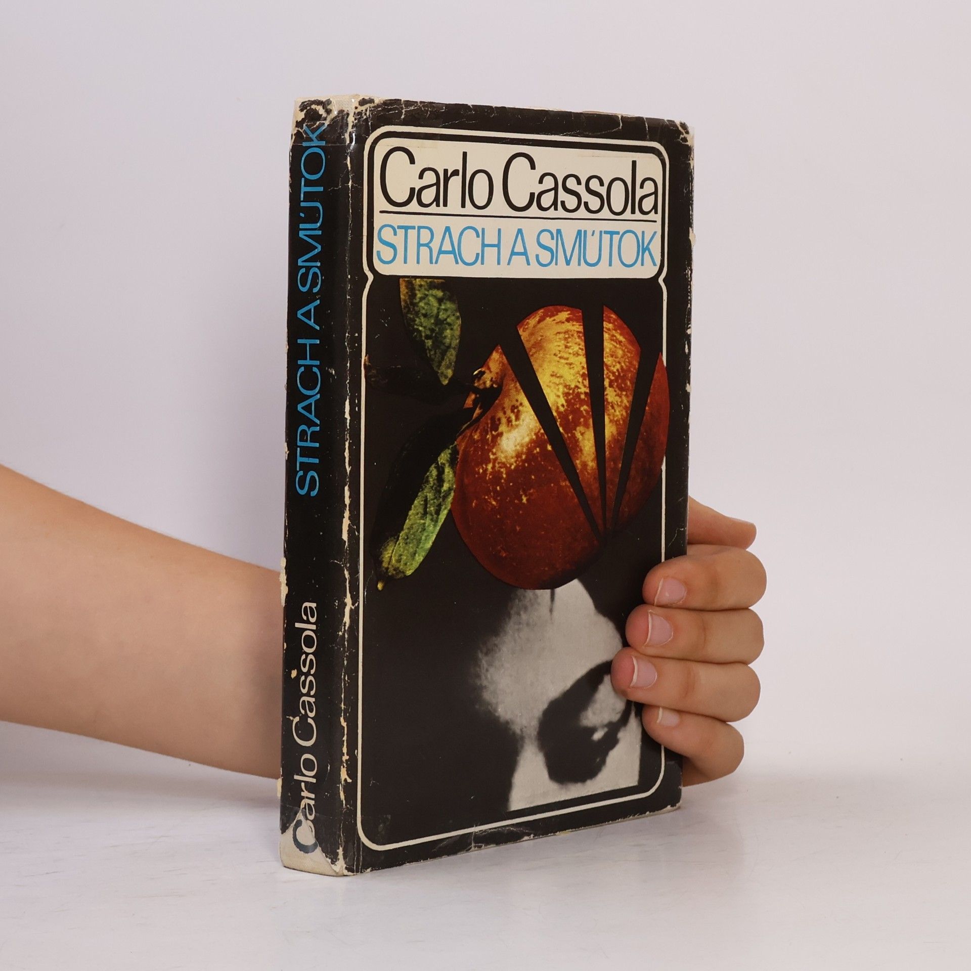 Carlo Cassola Strach a smútok