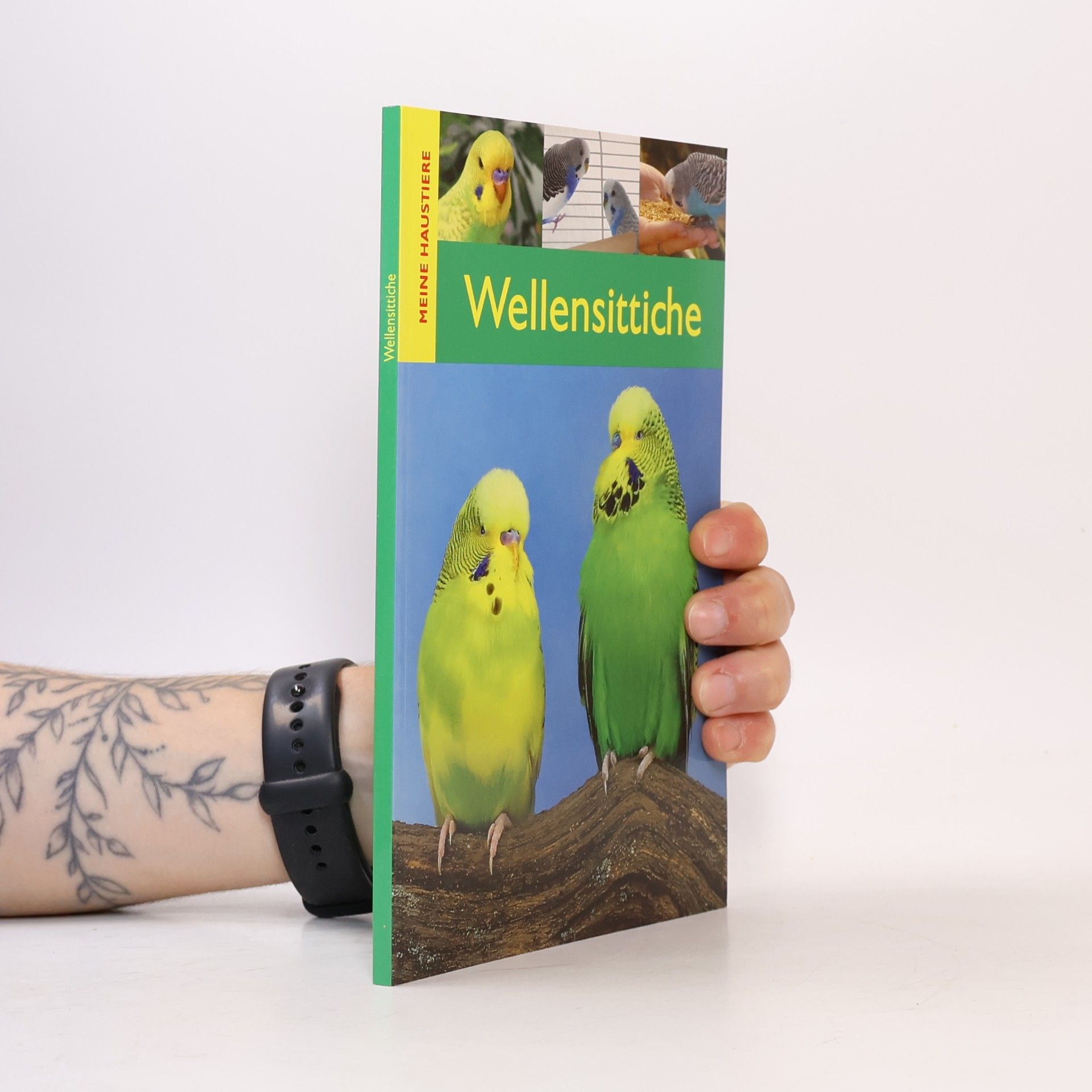 Wellensittiche