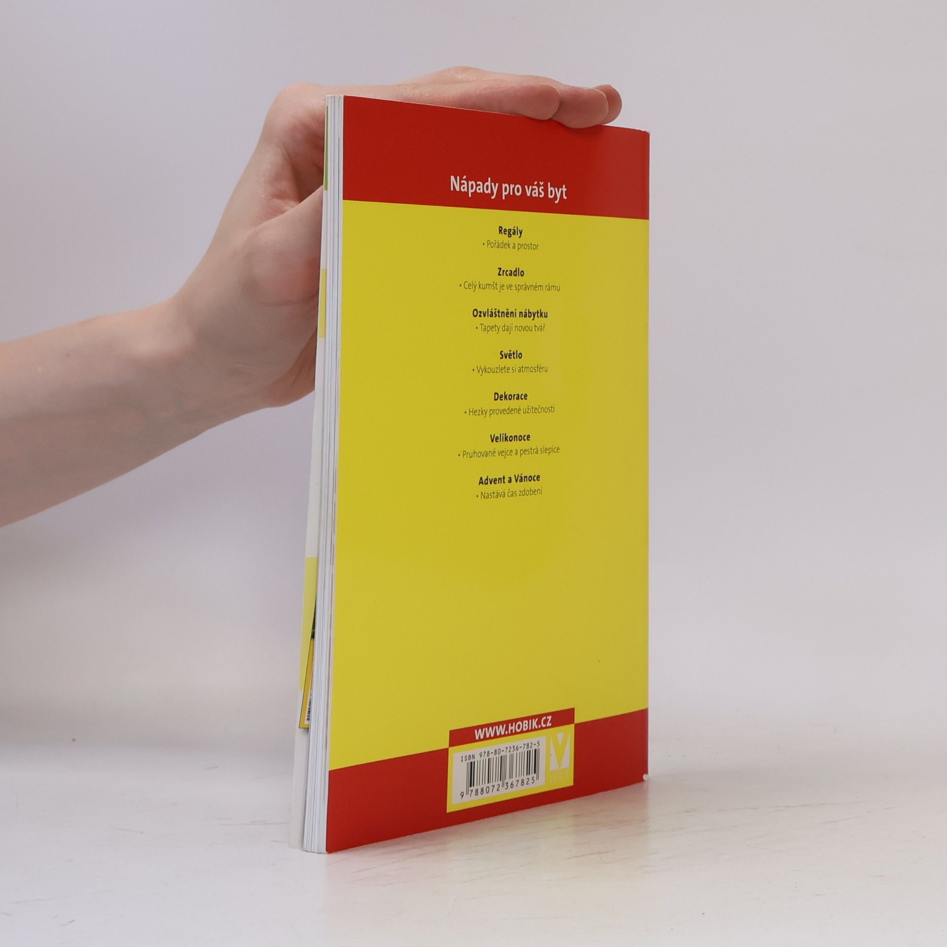 Collectif d'auteurs Nápady pro váš byt : náměty, design, trendy