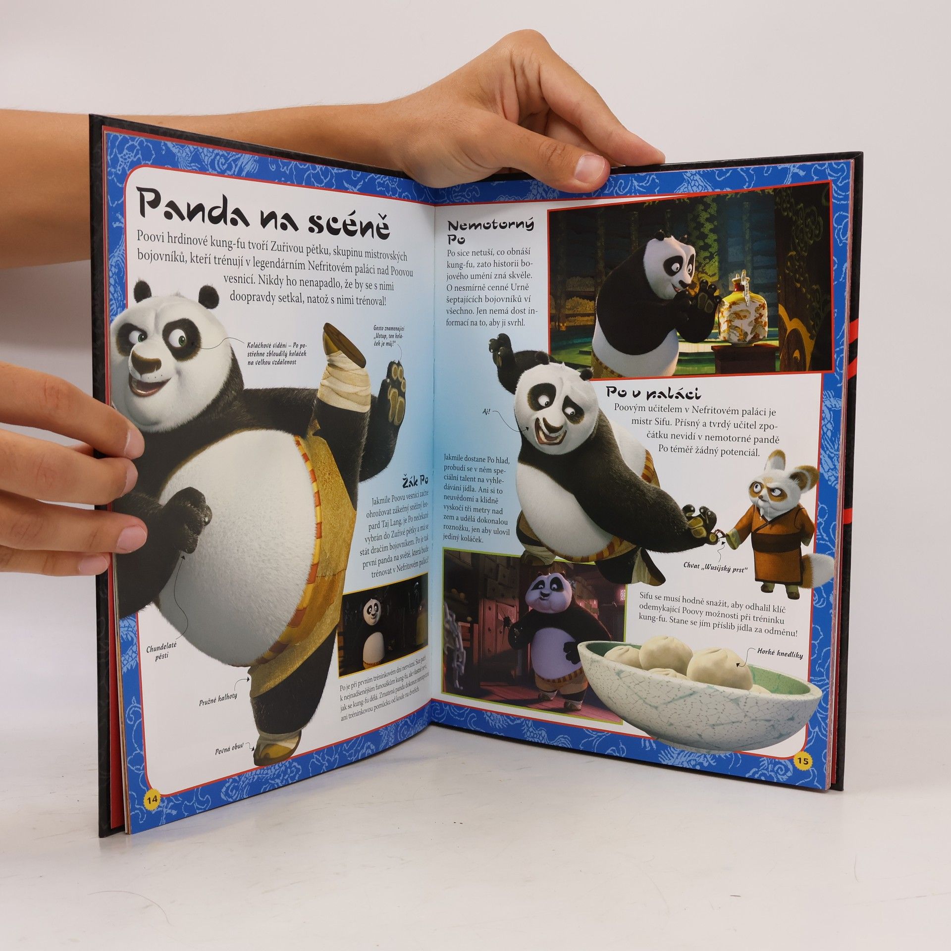 Heather Scott Kung Fu Panda : průvodce bojovníka