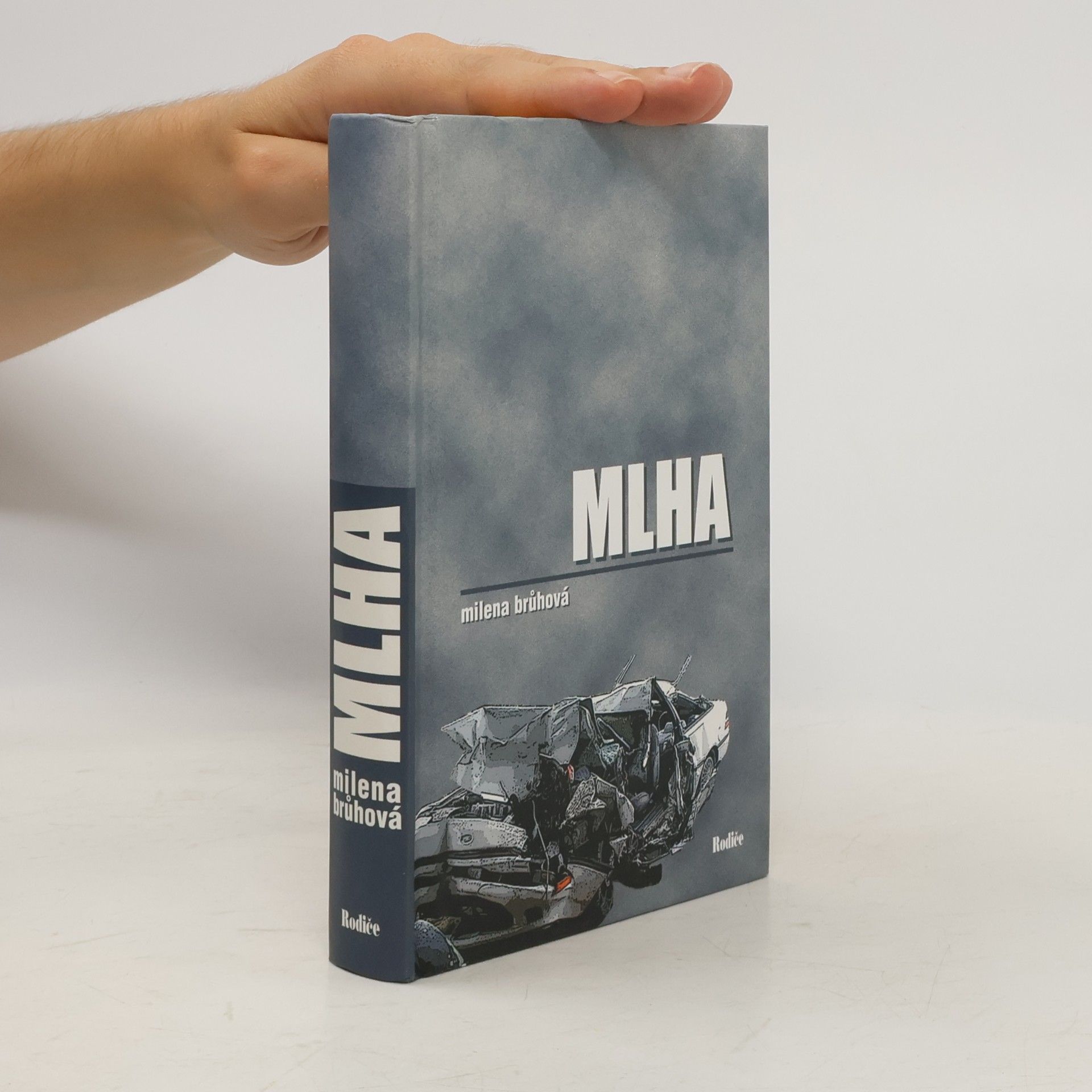 Milena Brůhová Mlha