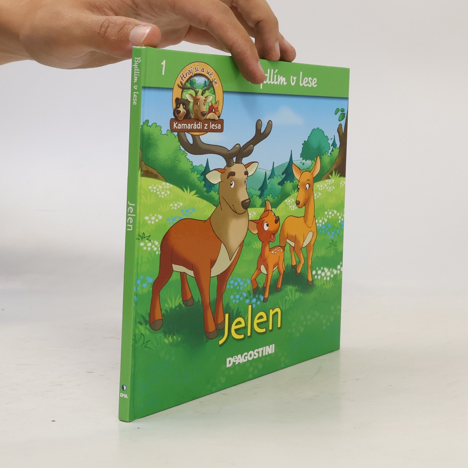 Autorenkollektiv Bydlím v lese - jelen