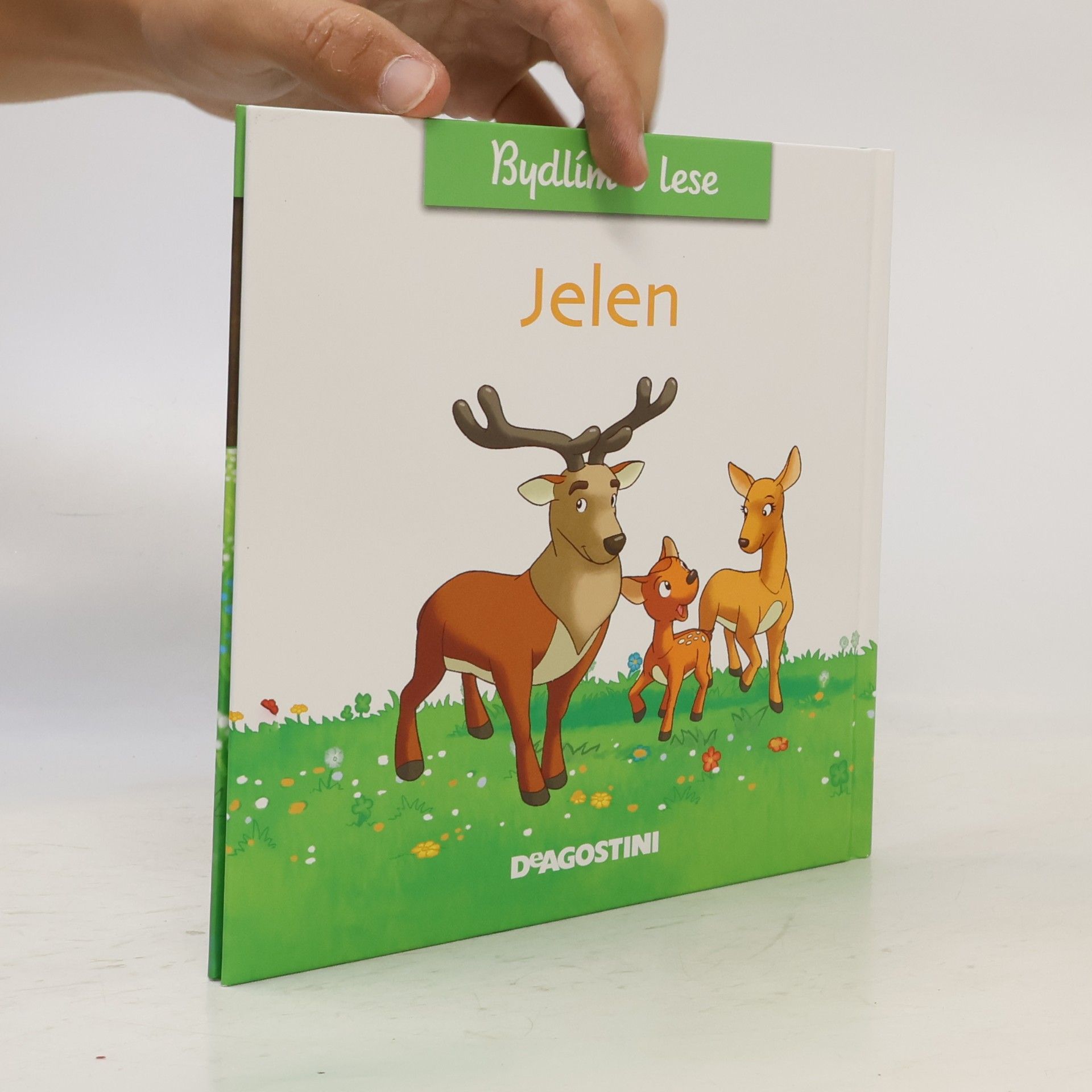 Autorenkollektiv Bydlím v lese - jelen