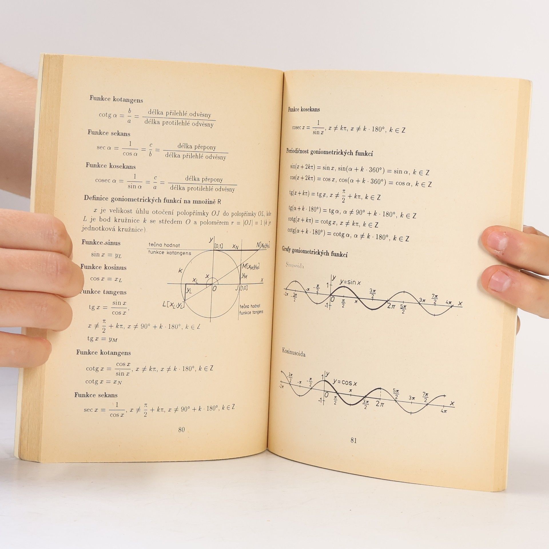 Ivan Bušek Středoškolská matematika ve vzorcích a větách