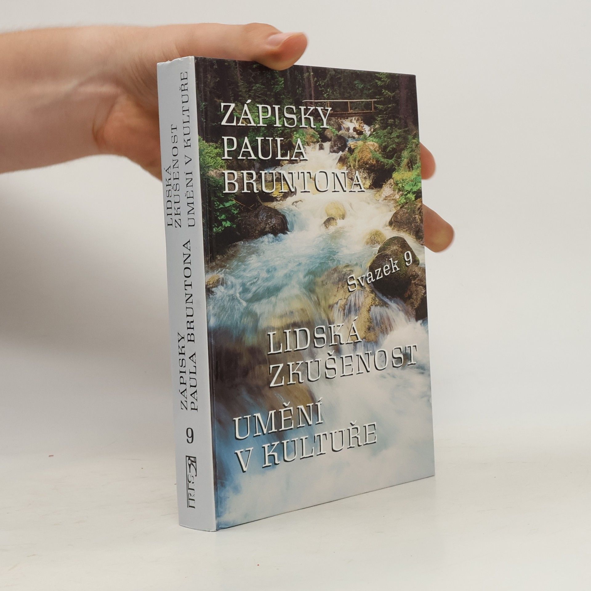 Zápisky Paula Bruntona 9. Lidská zkušenost. Umění v kultuře