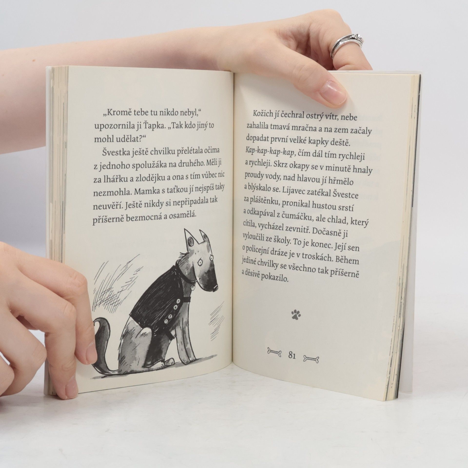Gill Lewis Špekáčkova psí akademie. Švestka a zloděj klobásek