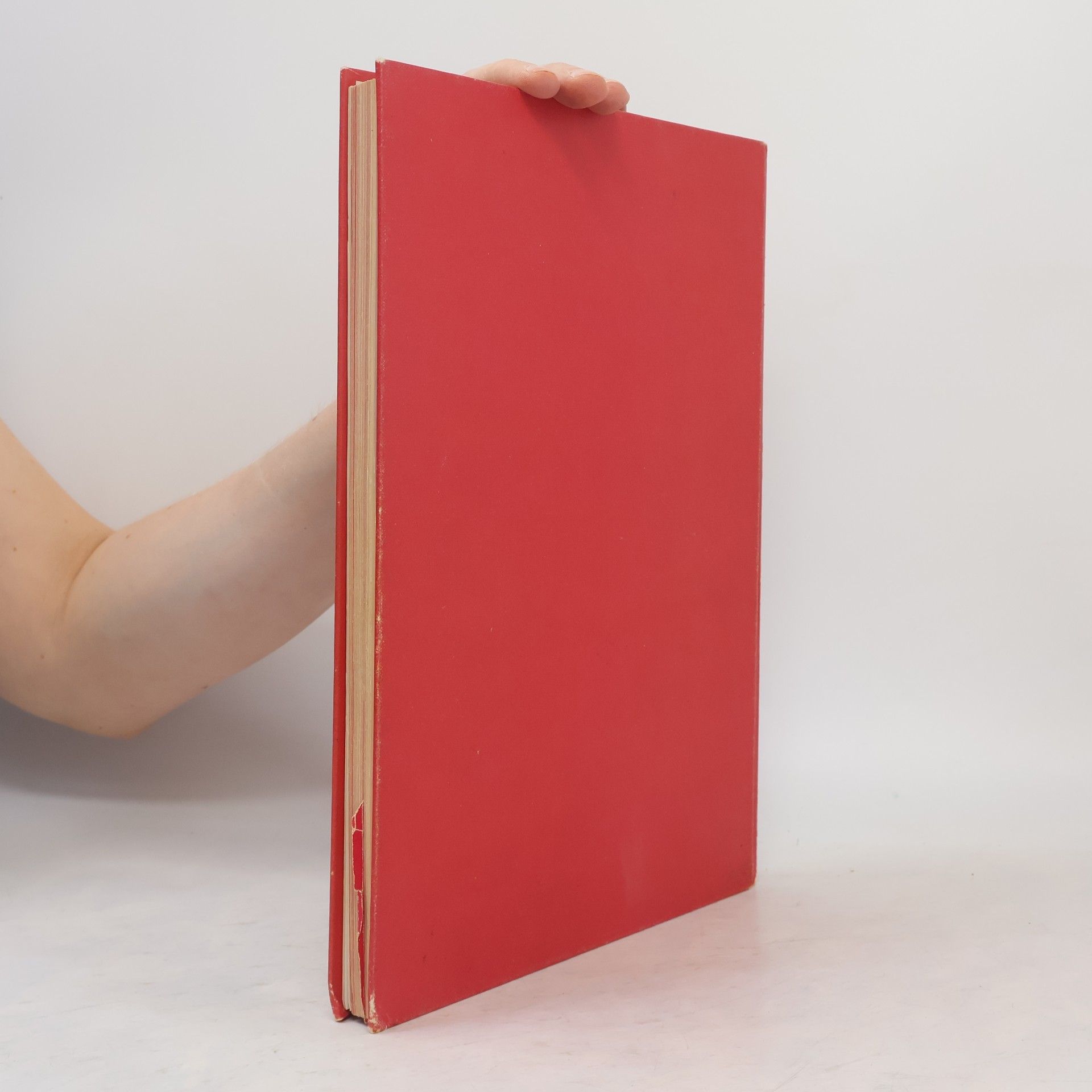 Maria Blumrich Burda-Strick-Lehrbuch
