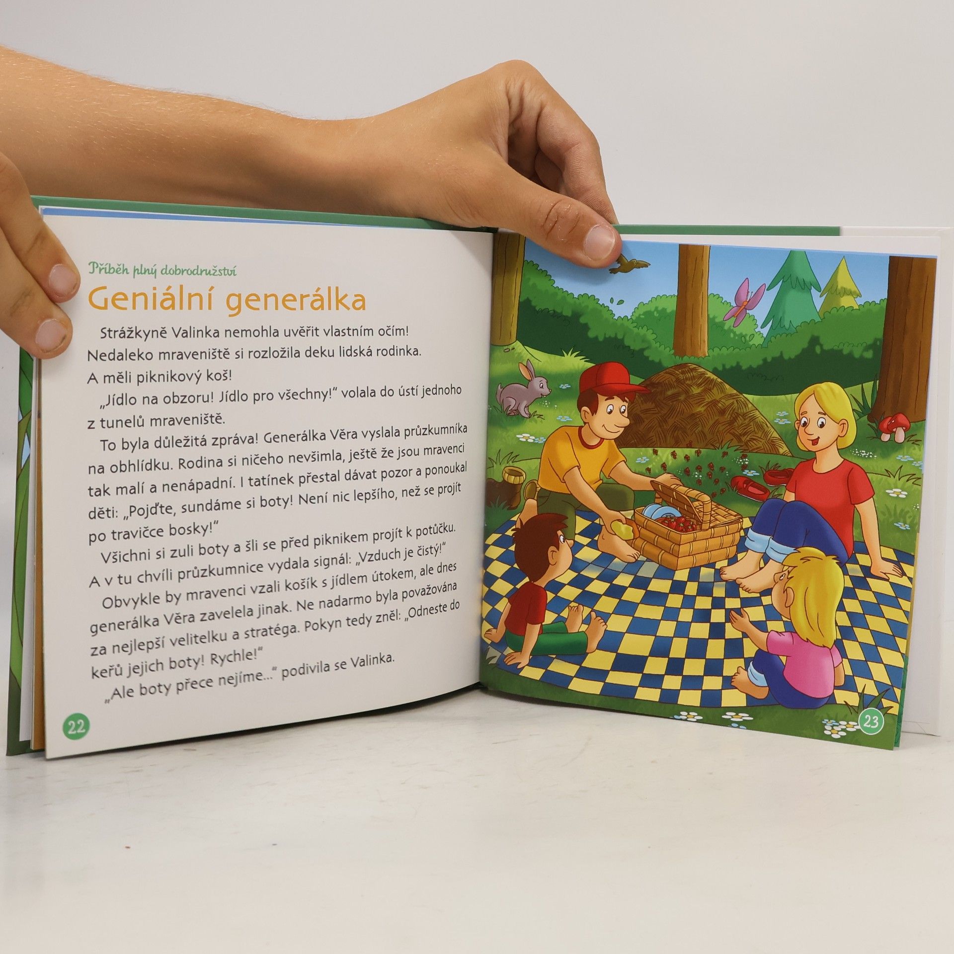 Kolektiv autorů Bydlím v lese 62. Mravenci