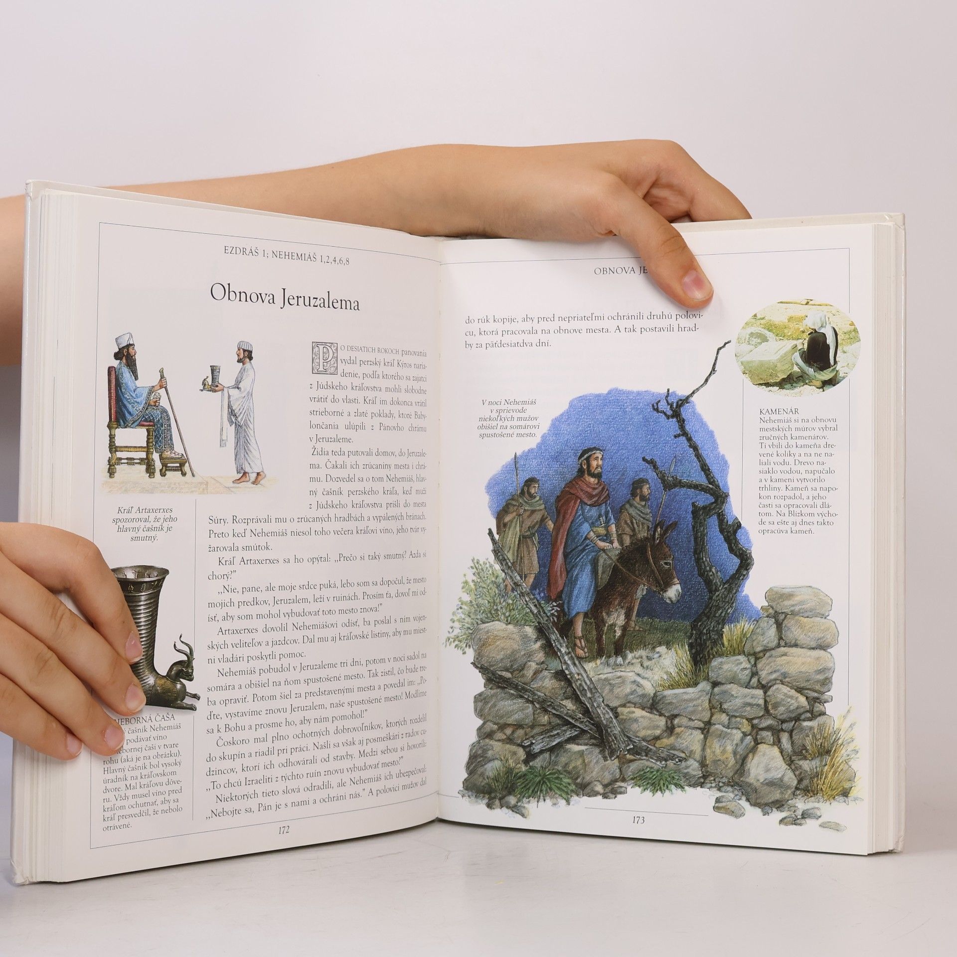 Autorenkollektiv Ilustrovaná Biblia