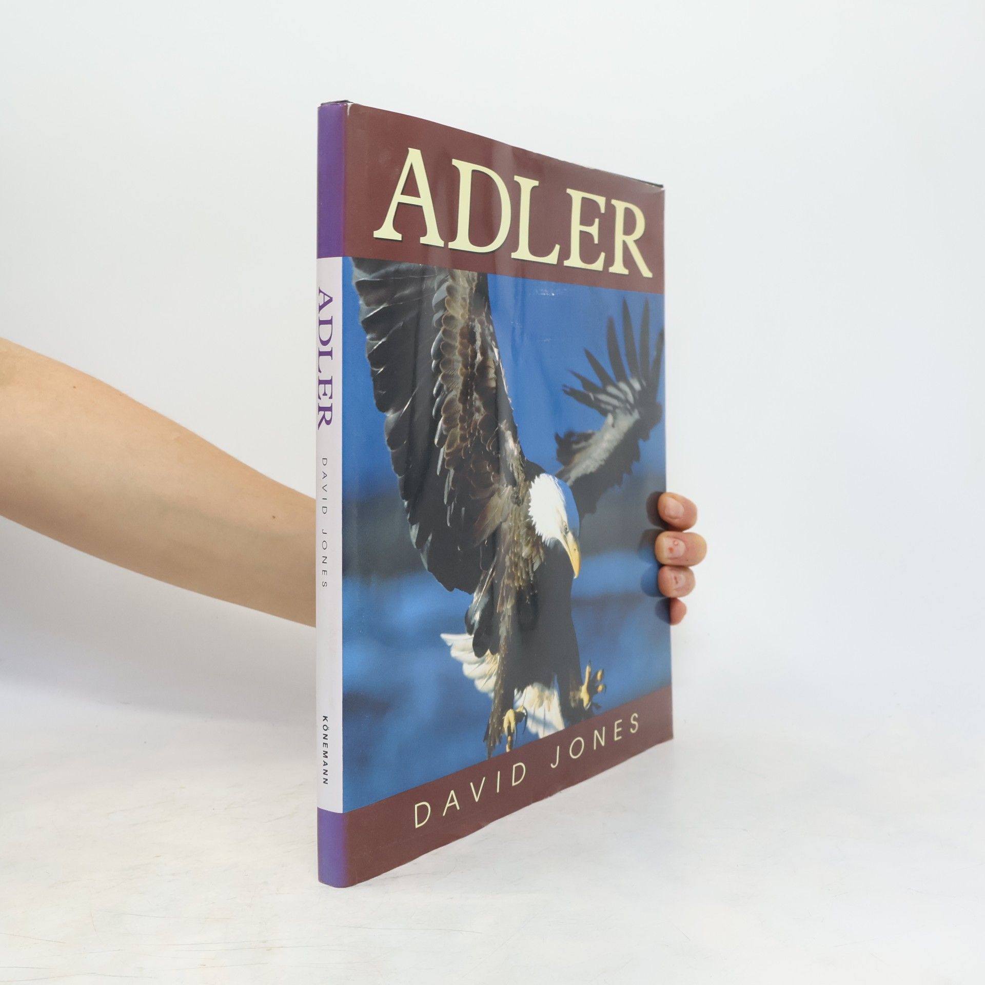 David Jones Adler
