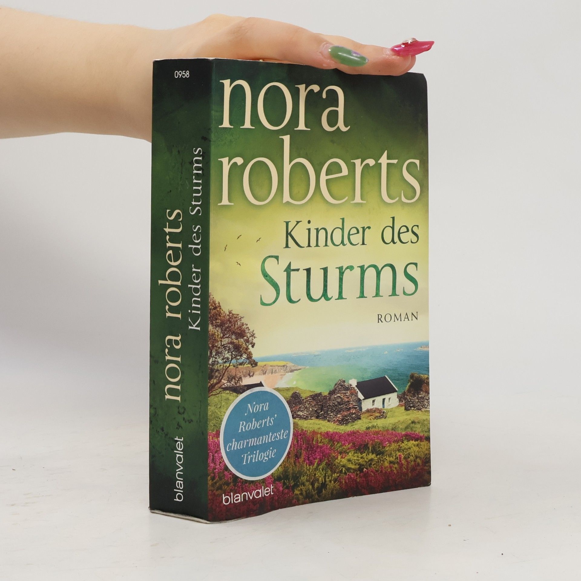 Nora Roberts Kinder des Sturms