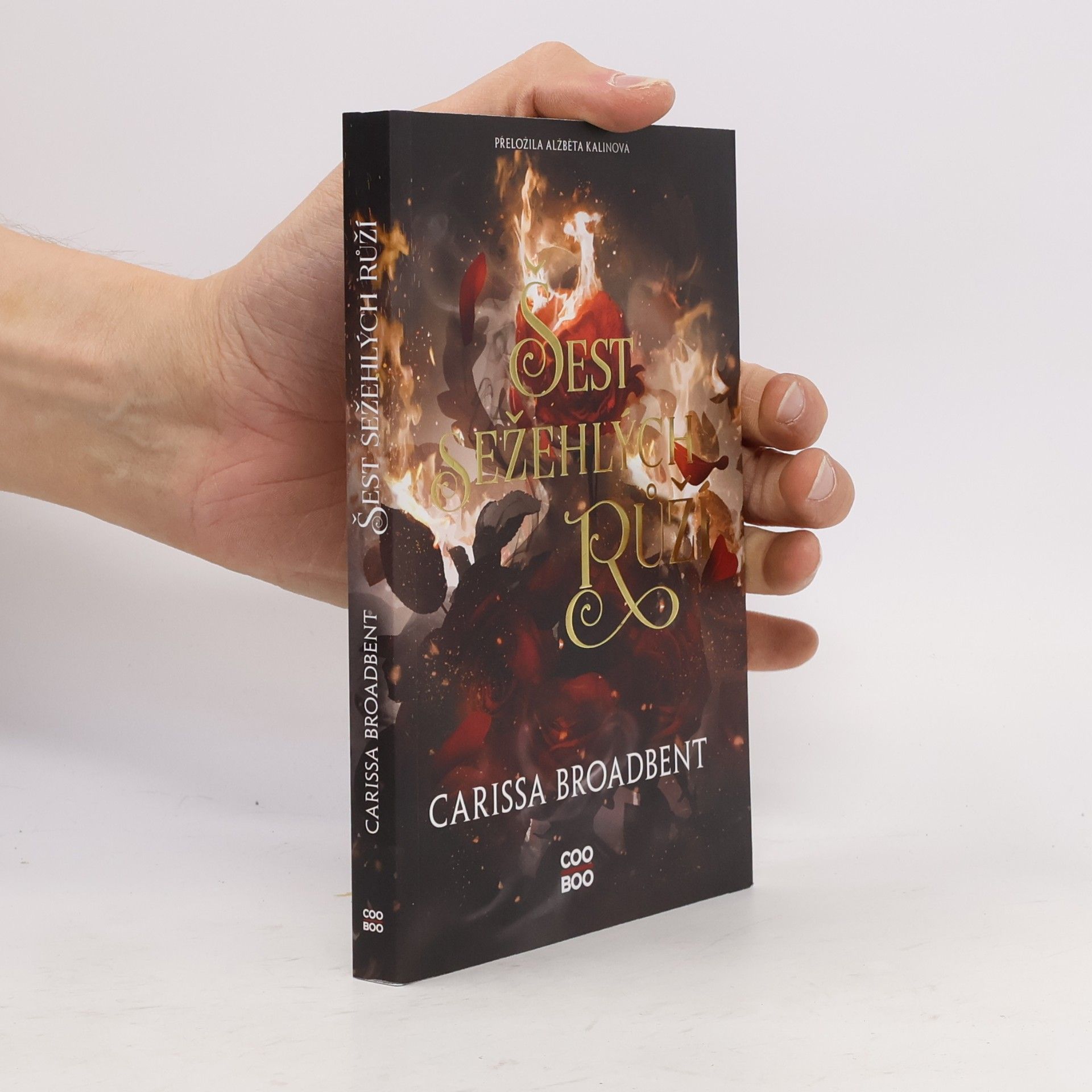 Carissa Broadbent Šest sežehlých růží