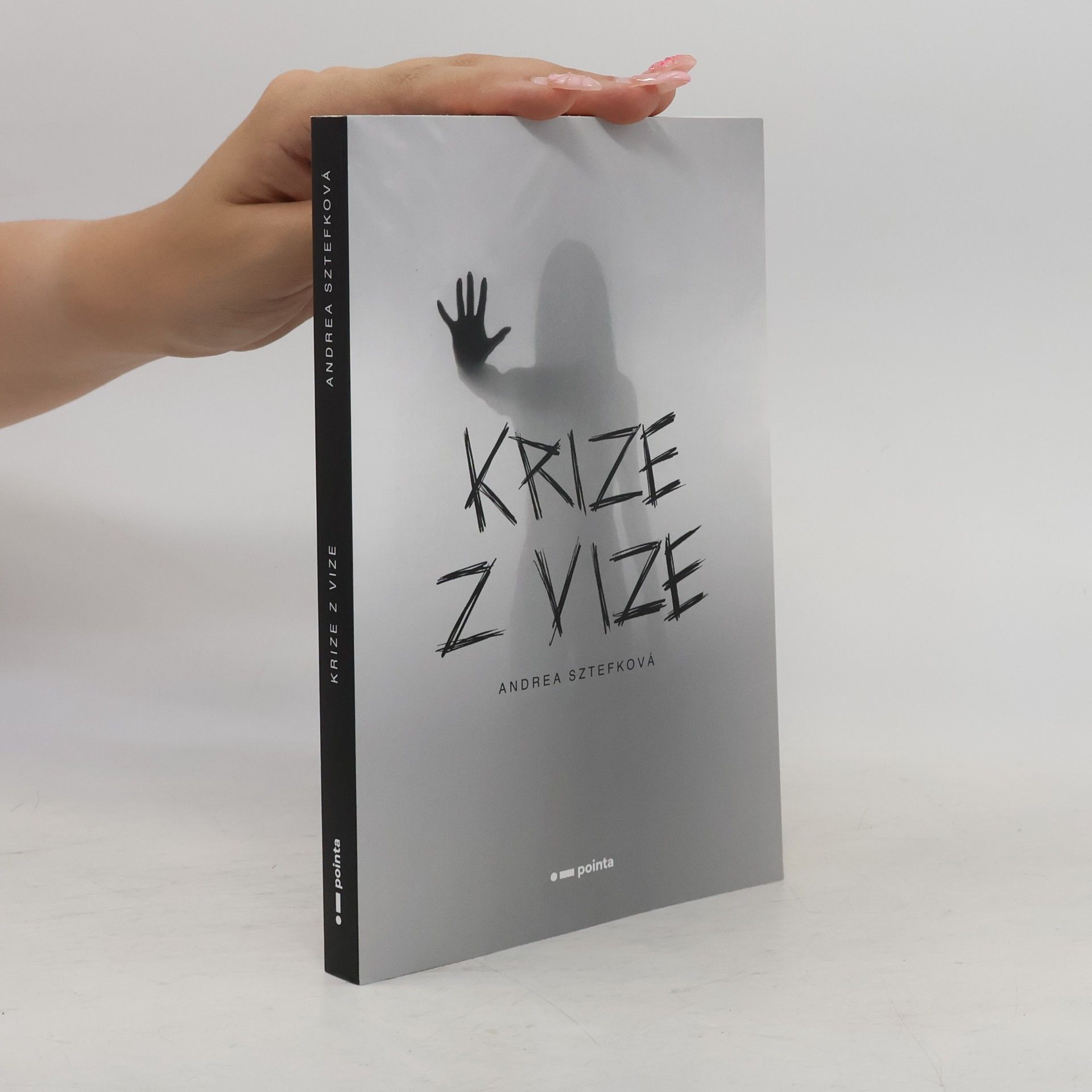 Andrea Sztefková Krize z vize