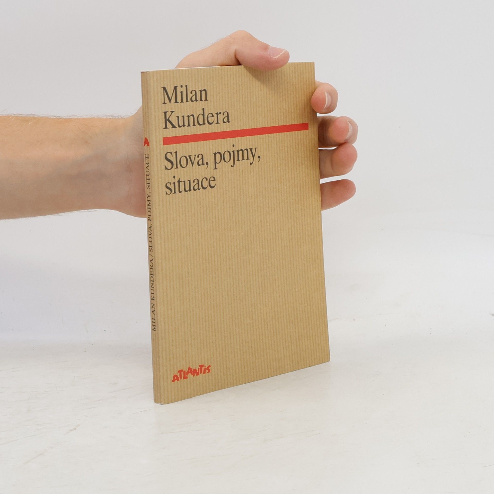 Milan Kundera Slova, pojmy, situace
