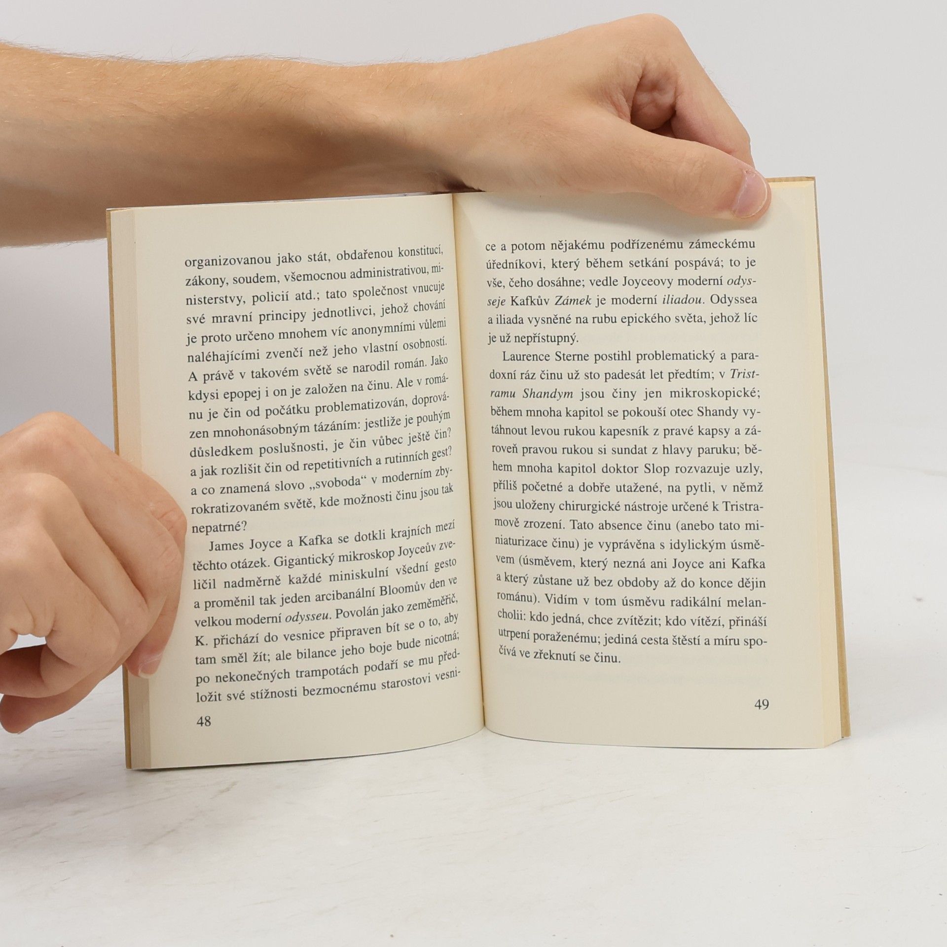 Milan Kundera Slova, pojmy, situace