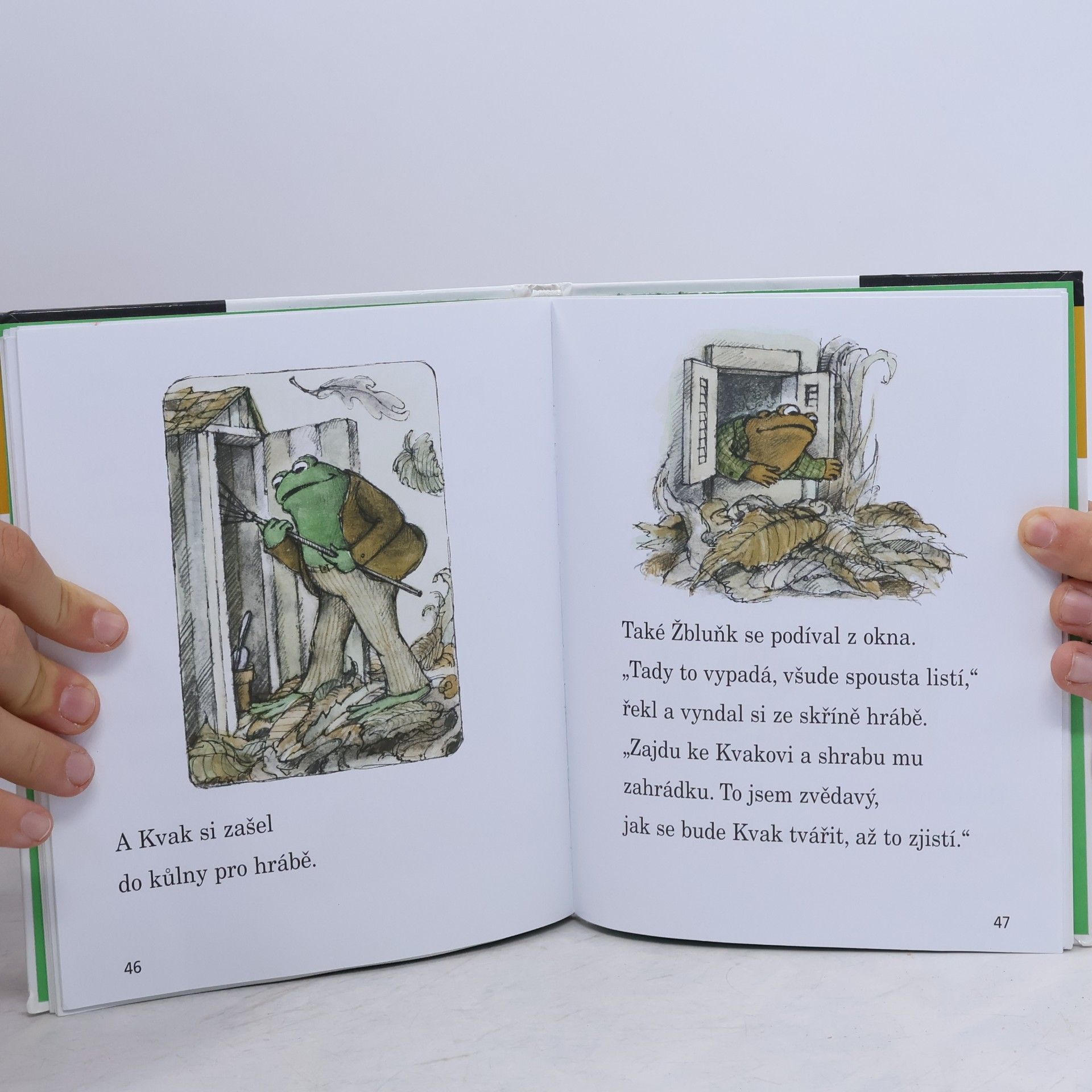 Arnold Lobel Kvak a Žbluňk od jara do Vánoc