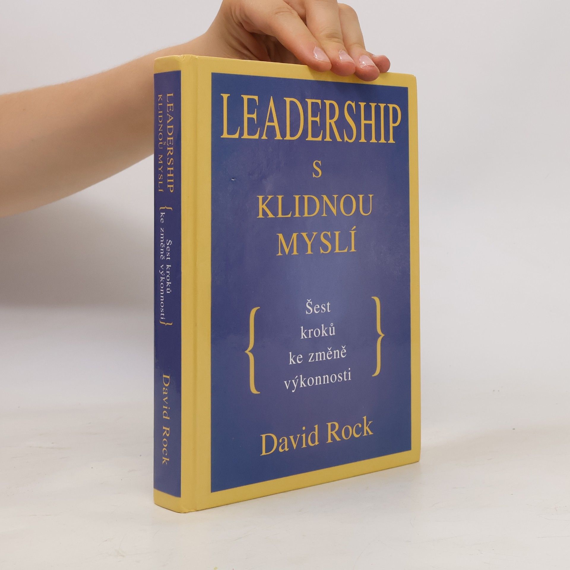 David Rock Leadership s klidnou myslí