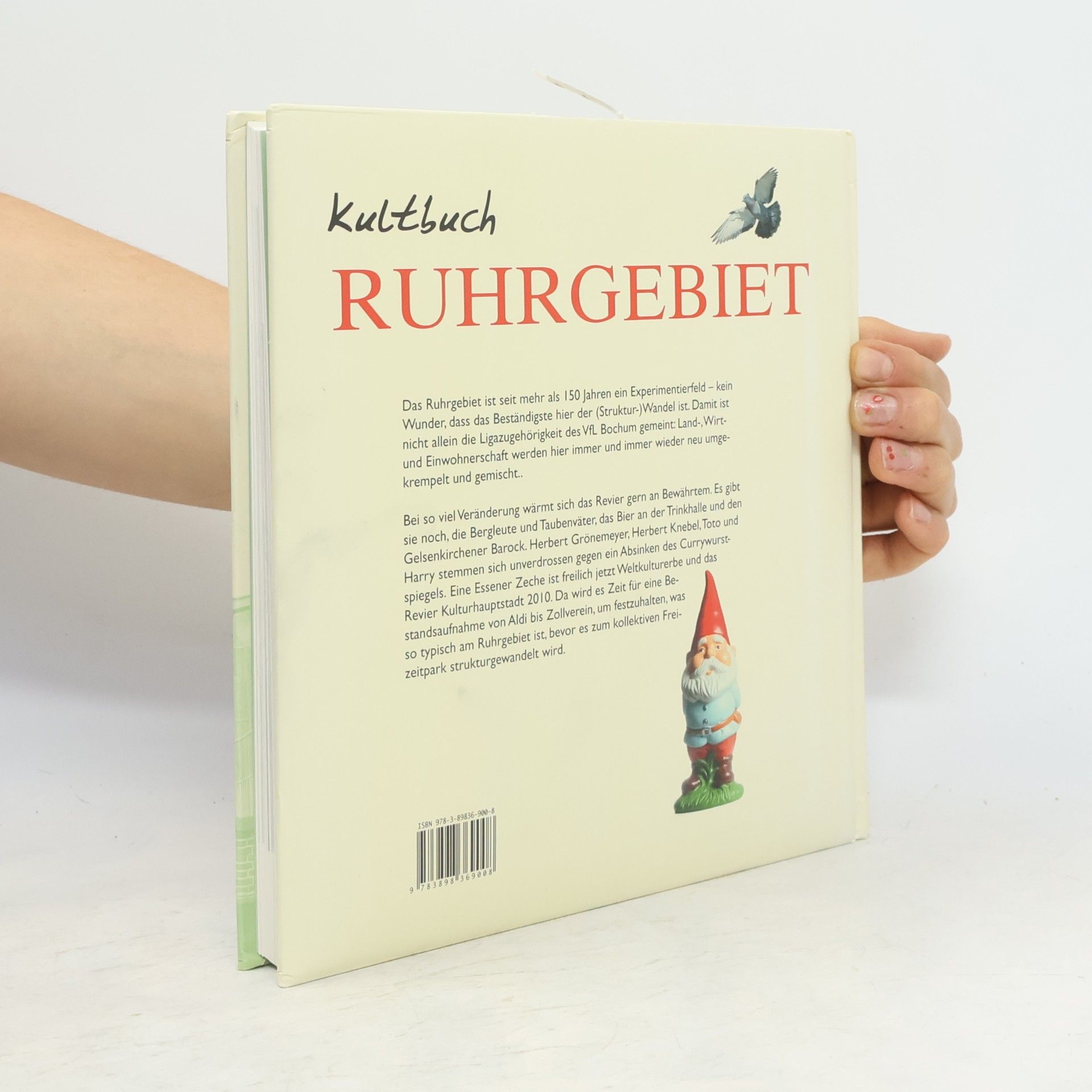 Patrick Bierther Kultbuch Ruhrgebiet