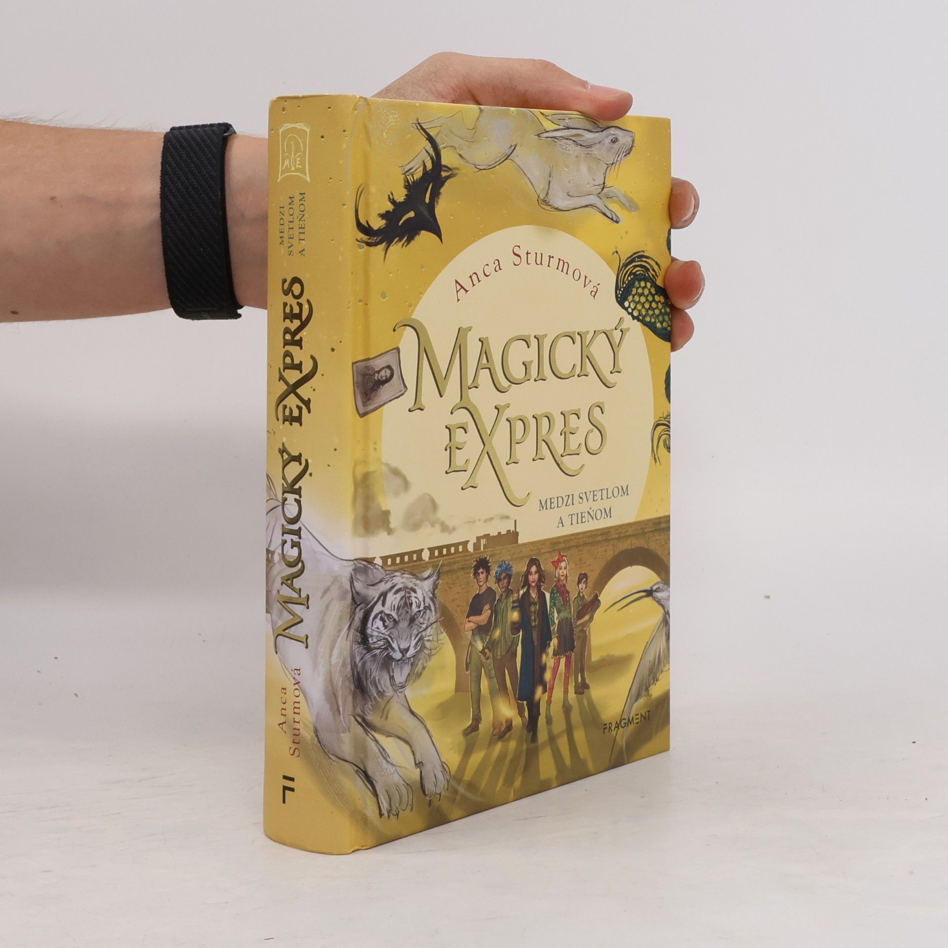 Anca Sturm Magický expres: Medzi svetlom a tieňom
